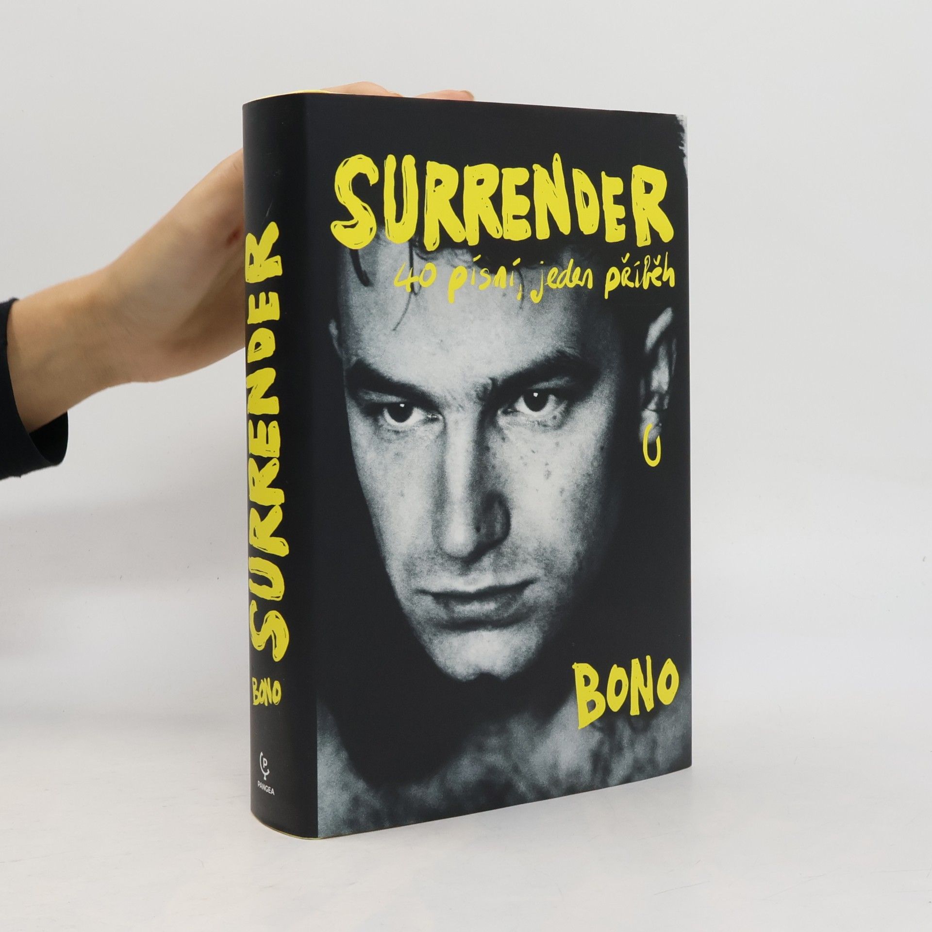 Surrender : 40 písní, jeden příběh