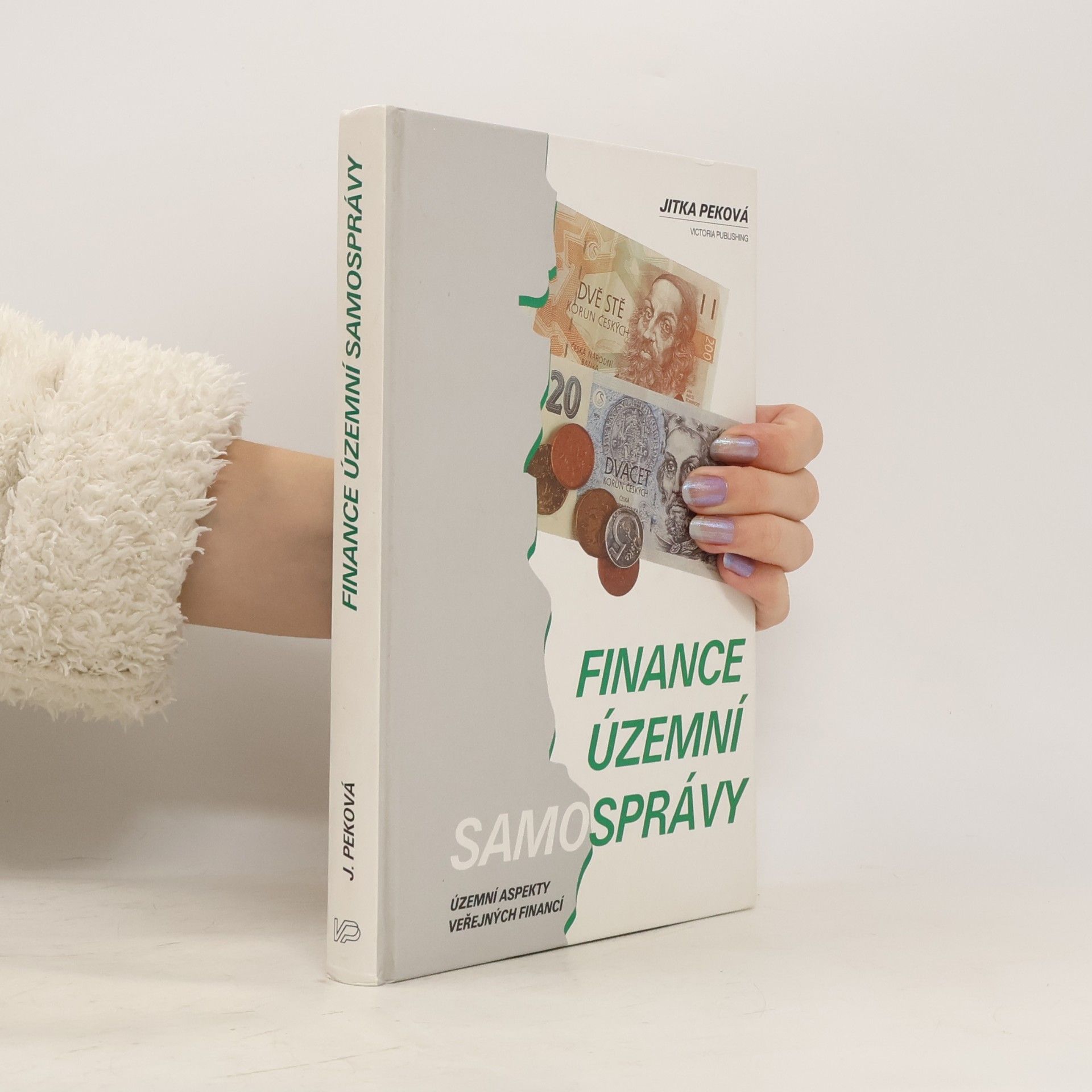 Finance územní samosprávy : územní aspekty veřejných financí