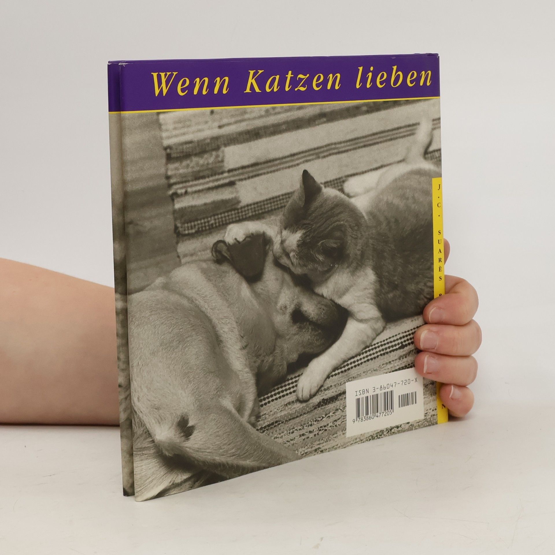 Jane Martin Wenn Katzen lieben