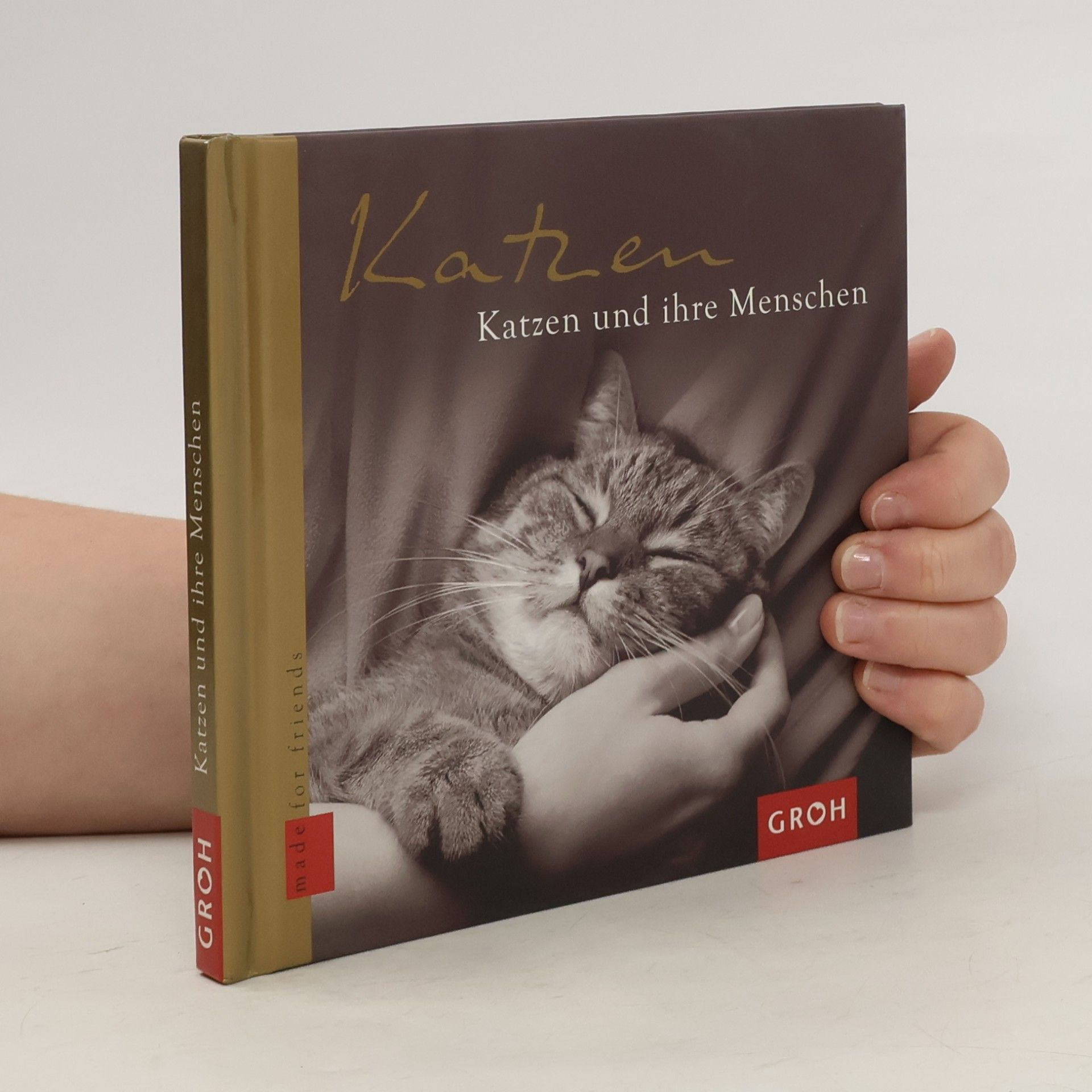 Autorenkollektiv Katzen und ihre Menschen