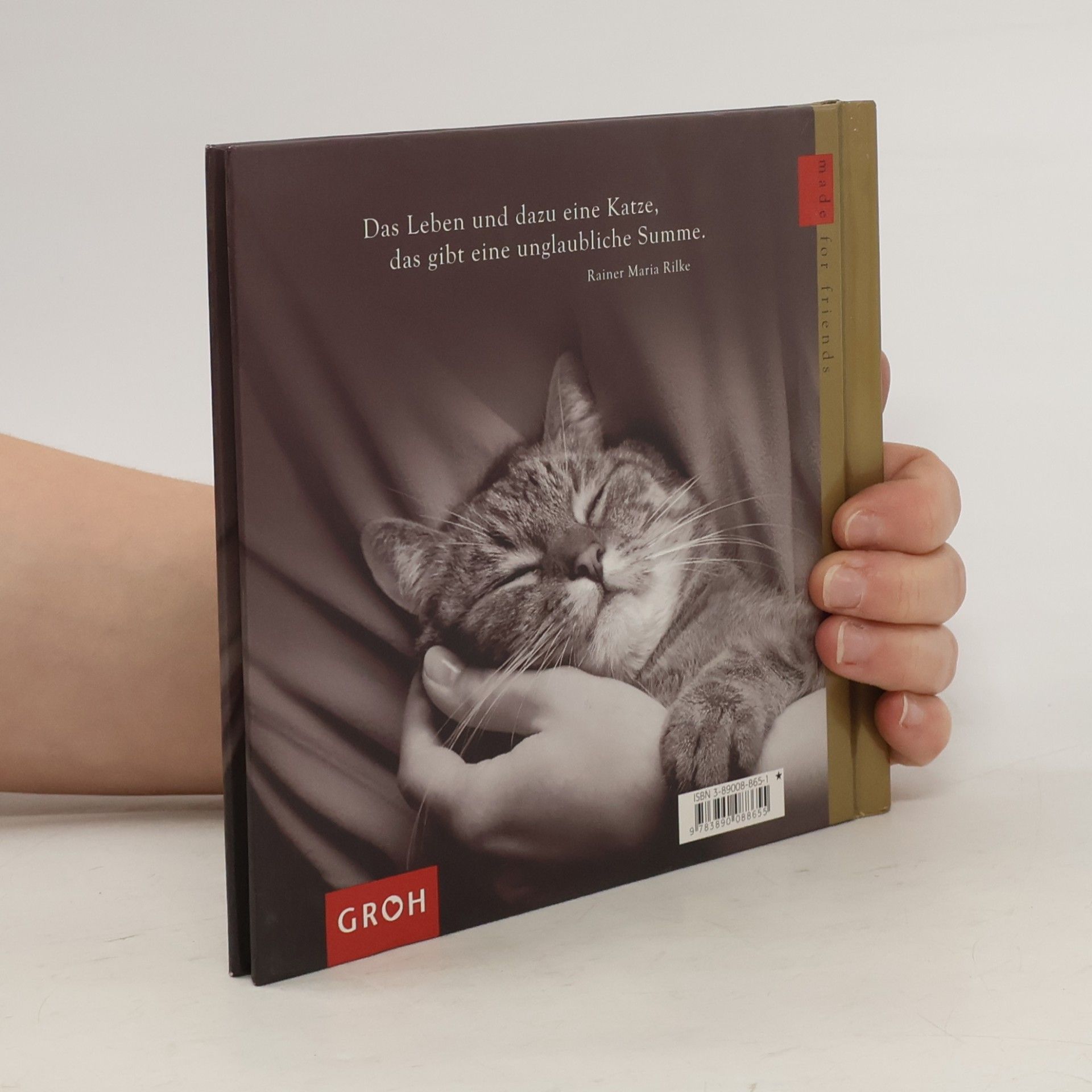 Autorenkollektiv Katzen und ihre Menschen