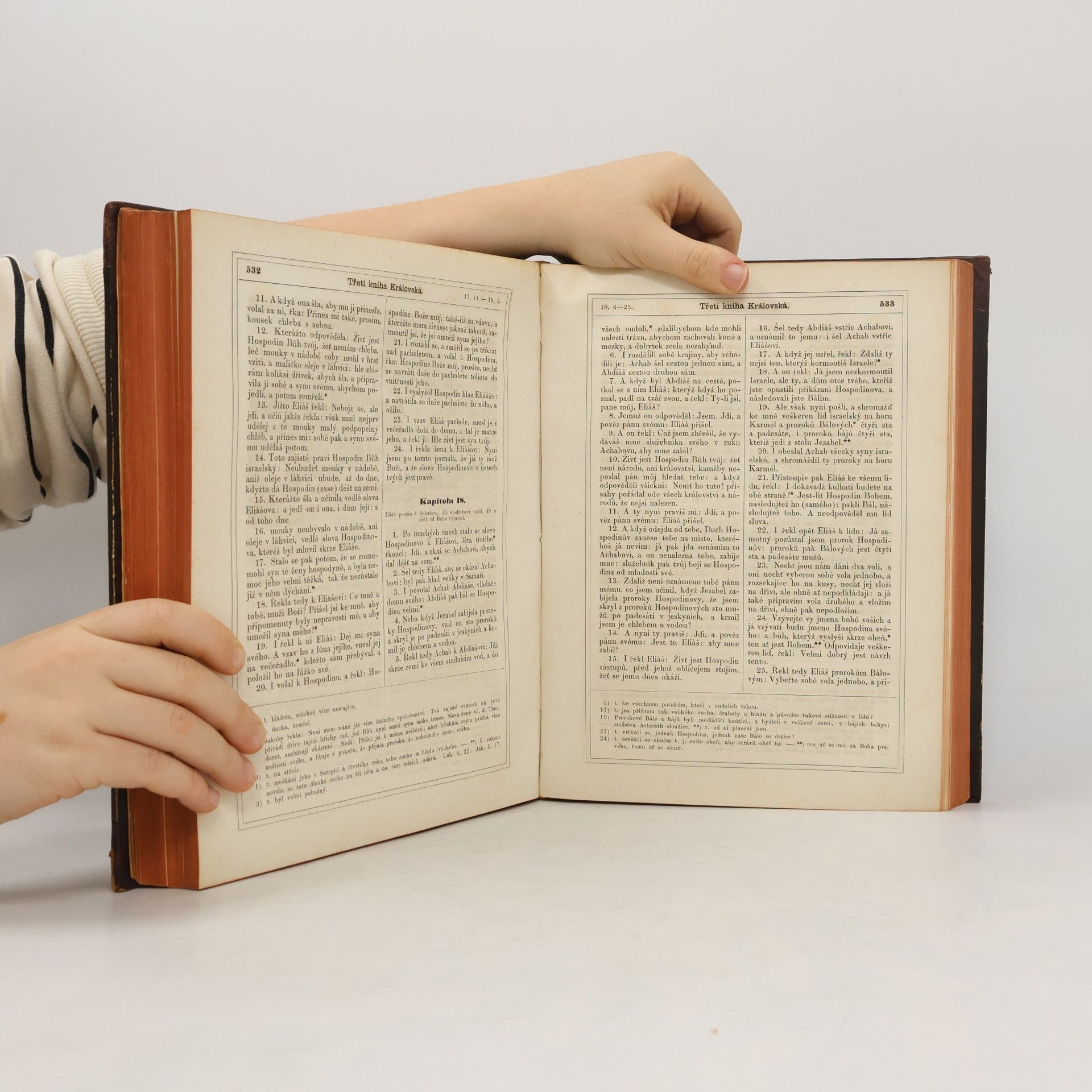 Various authors Biblí česká