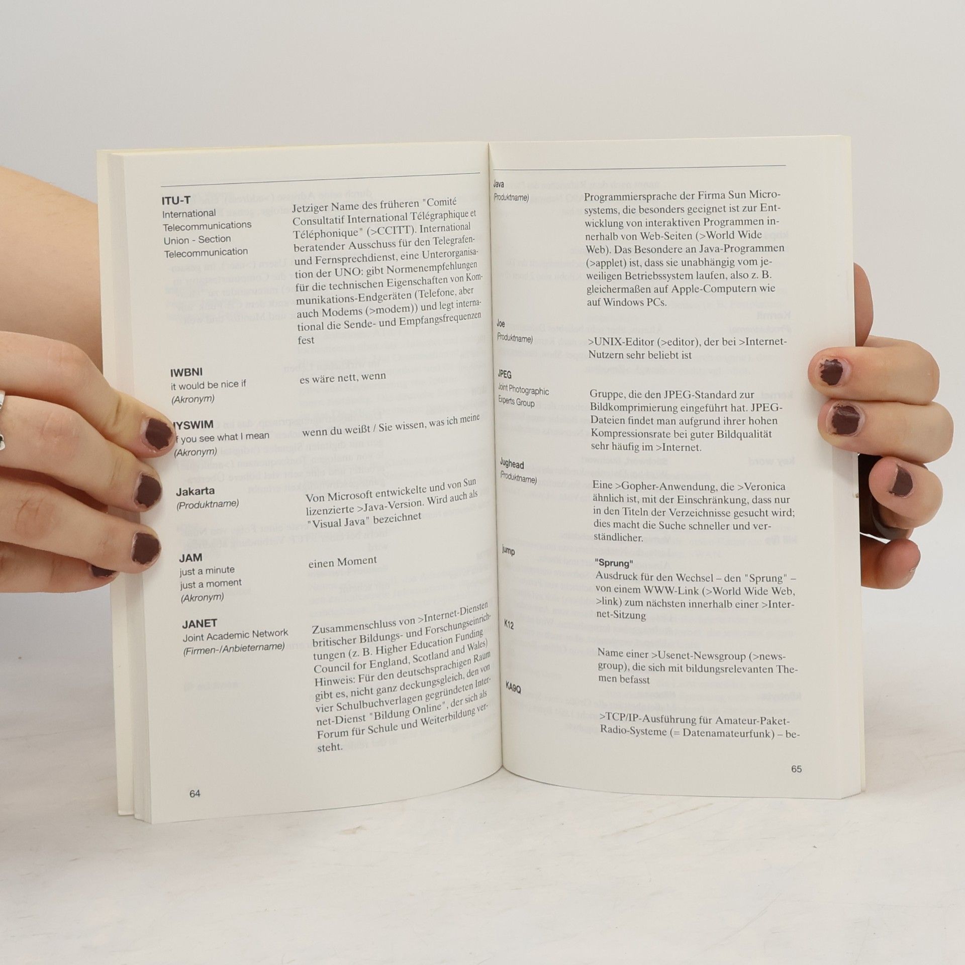 Eva Hochrath Langenscheidts Internet-Worterbuch : Englisch-Deutsch