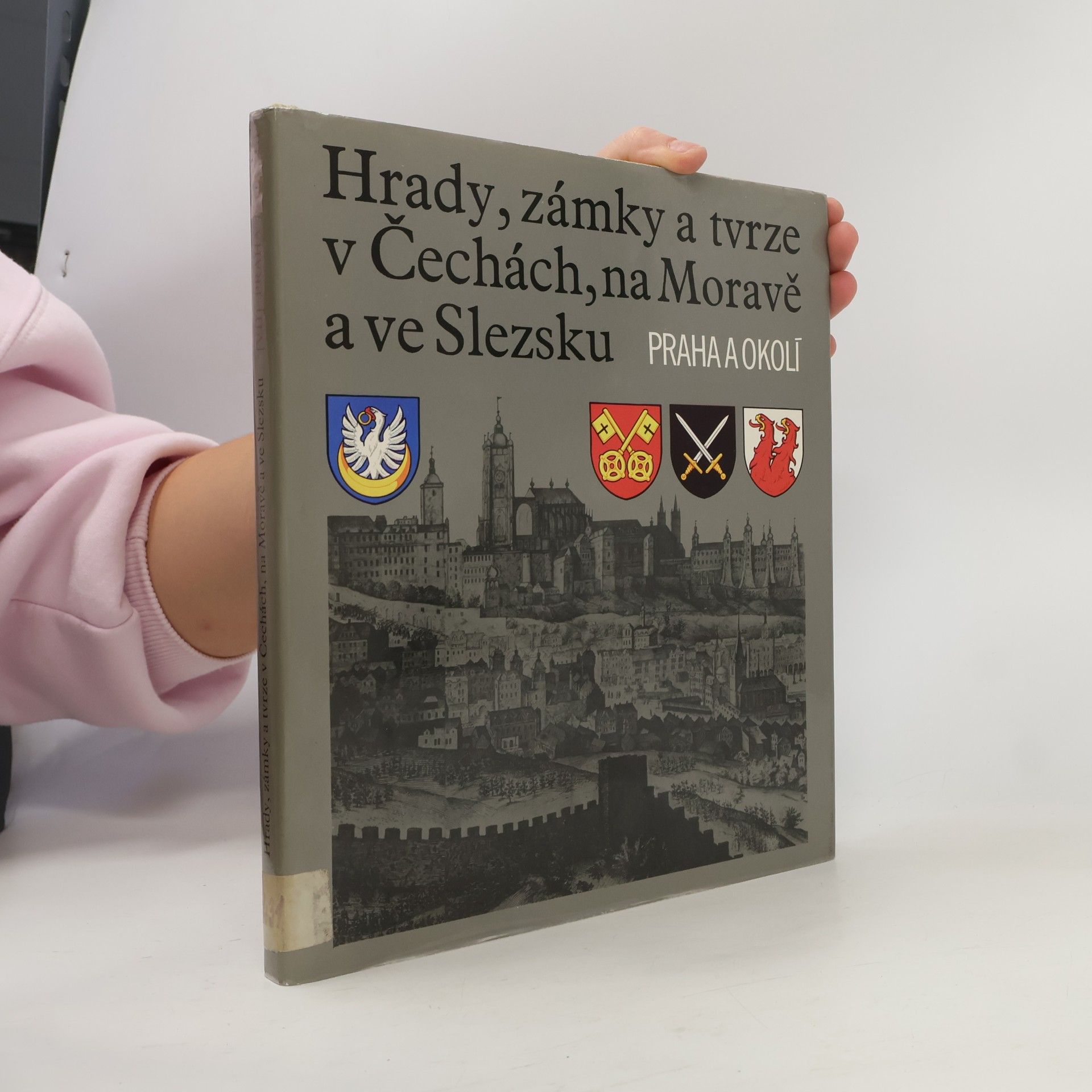 Kolektiv autorů Hrady, zámky a tvrze v Čechách, na Moravě a ve Slezsku VII. Praha a okolí