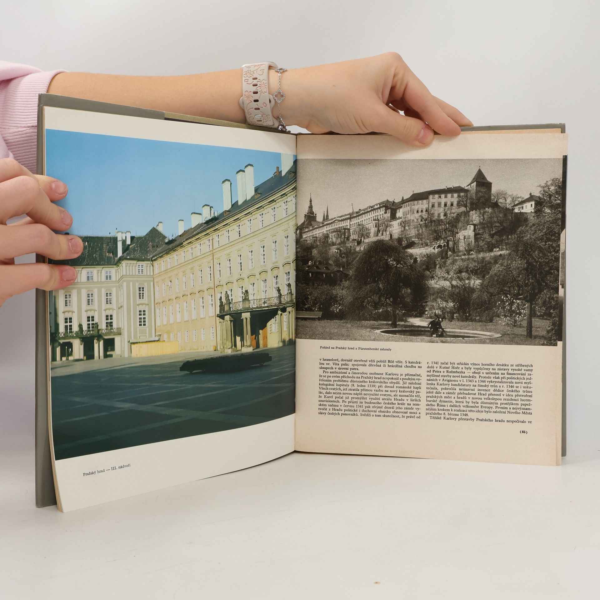 Kolektiv autorů Hrady, zámky a tvrze v Čechách, na Moravě a ve Slezsku VII. Praha a okolí
