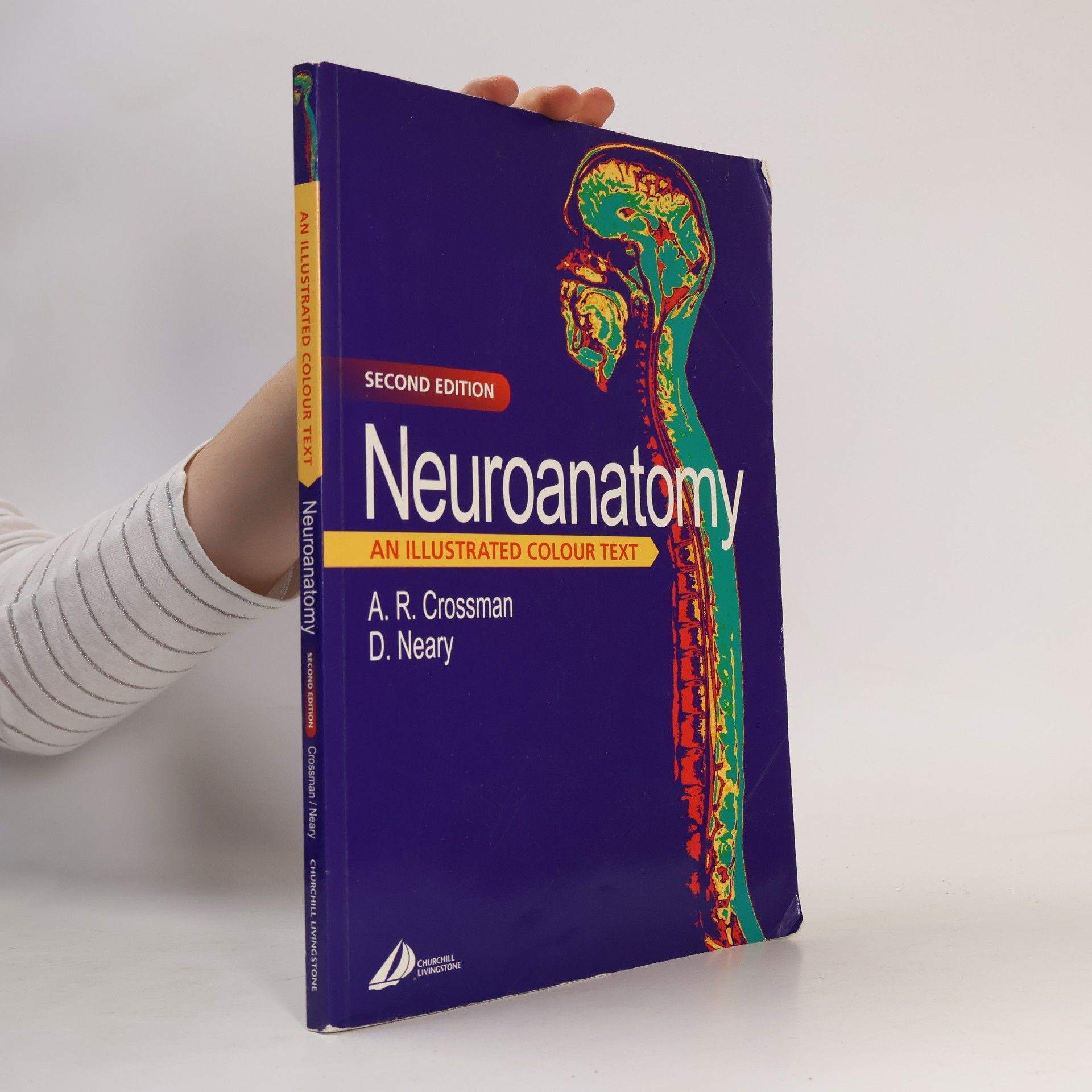 Neuroanatomy