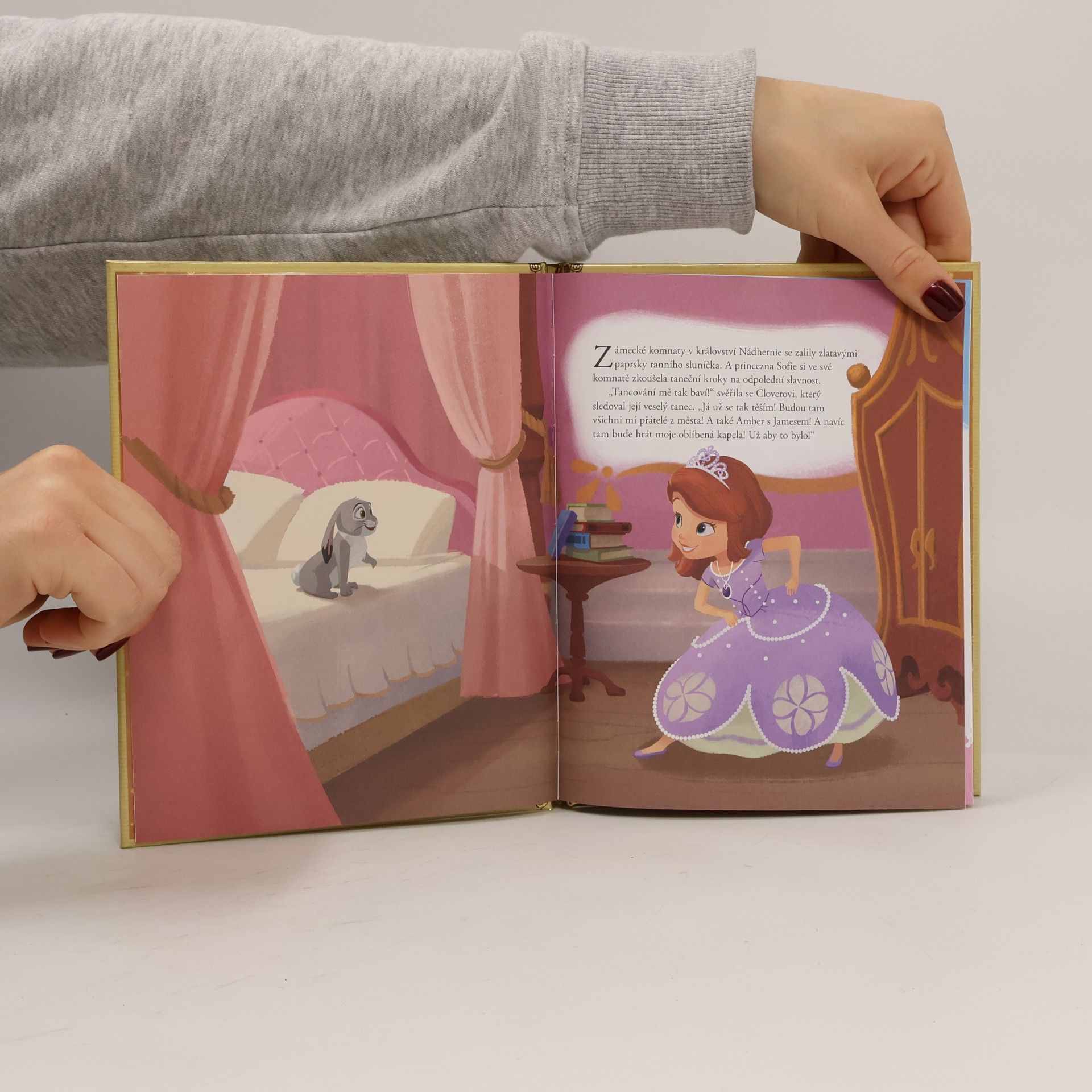 Autorenkollektiv Zlatá sbírka pohádek 51. Sofie První. Princezna Sofie Druhá