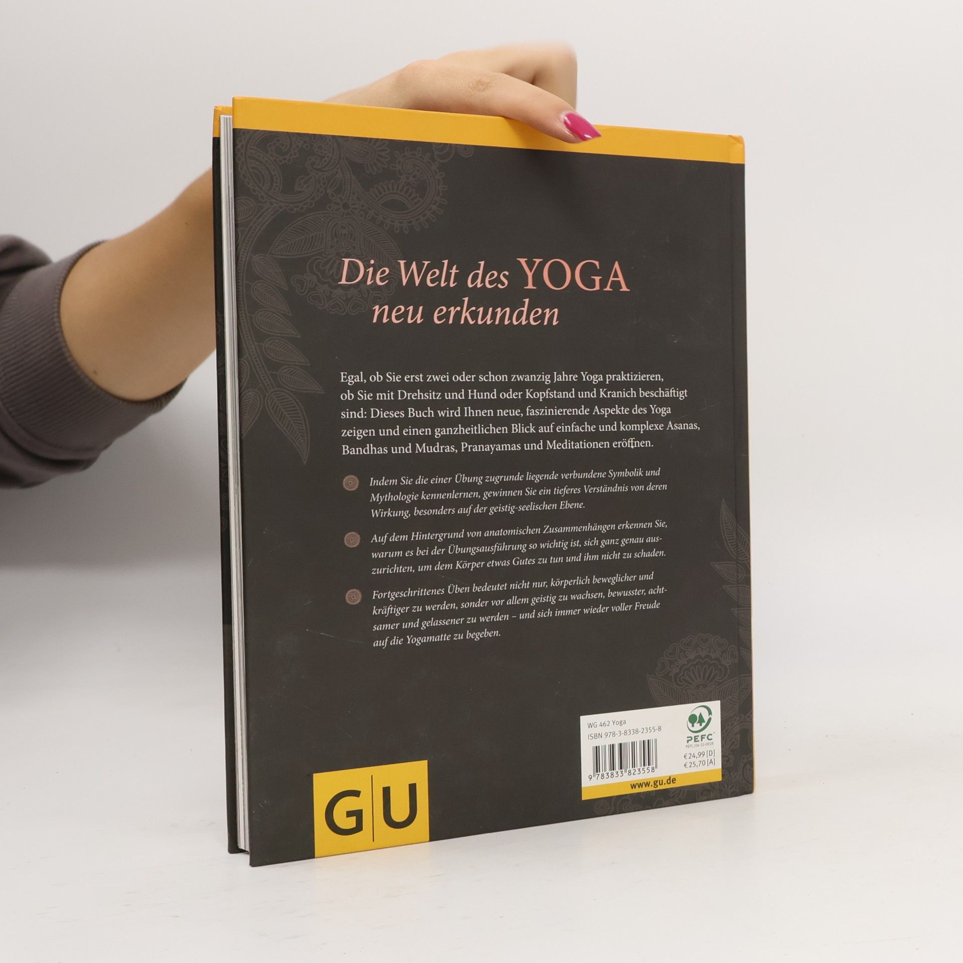 Ronald Steiner Yoga für Fortgeschrittene