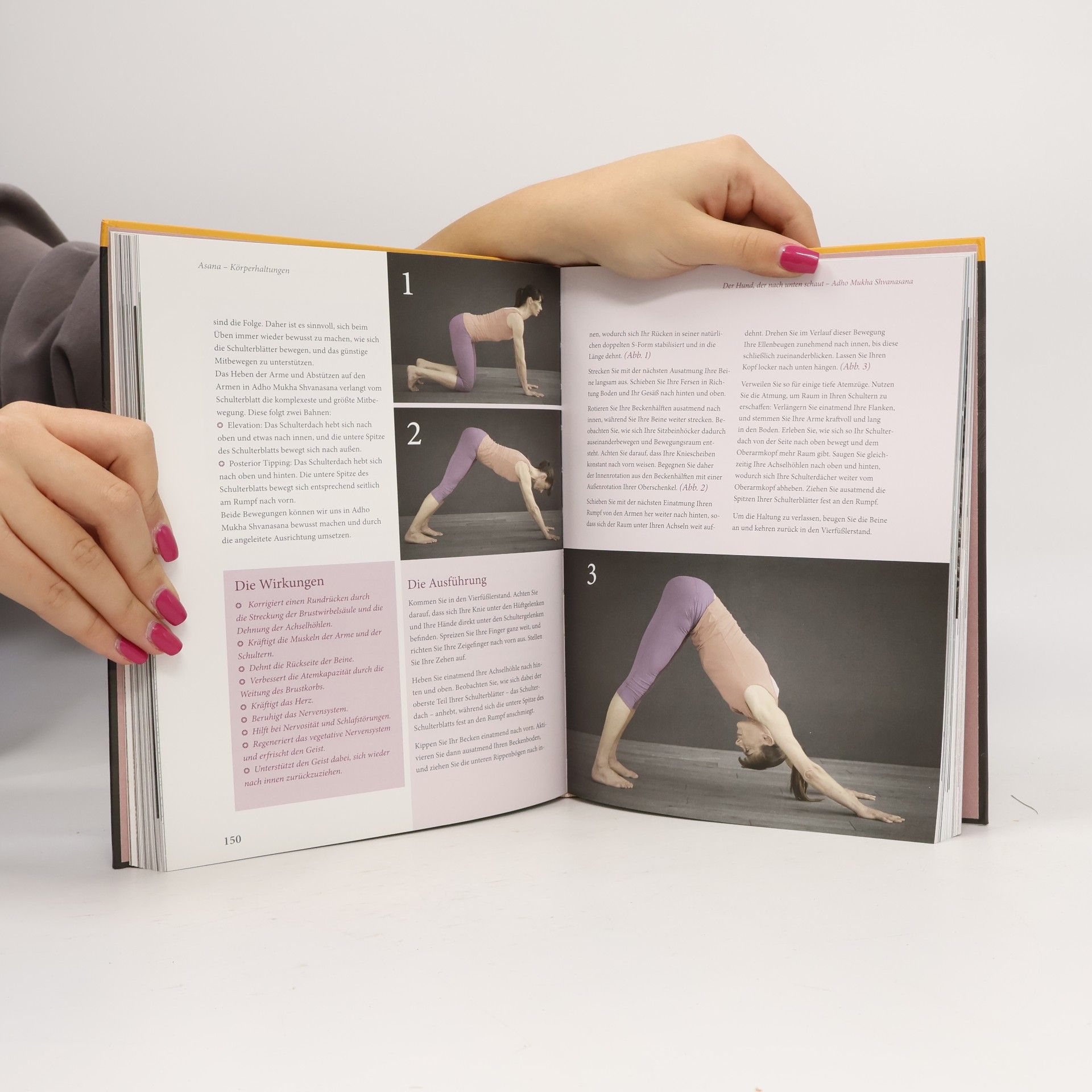 Ronald Steiner Yoga für Fortgeschrittene