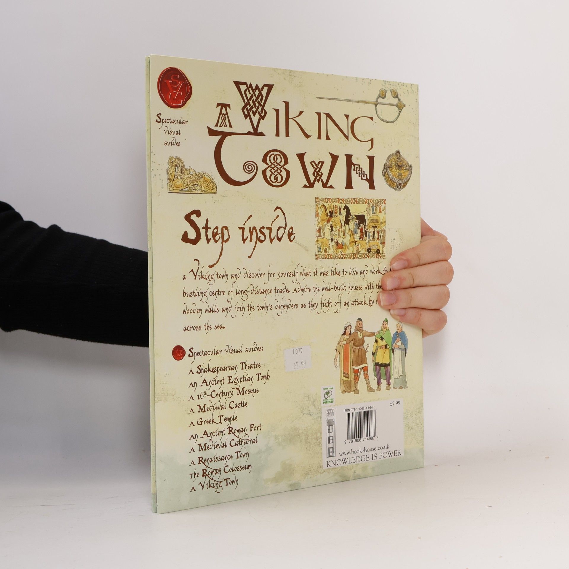 Fiona Macdonald Viking Town