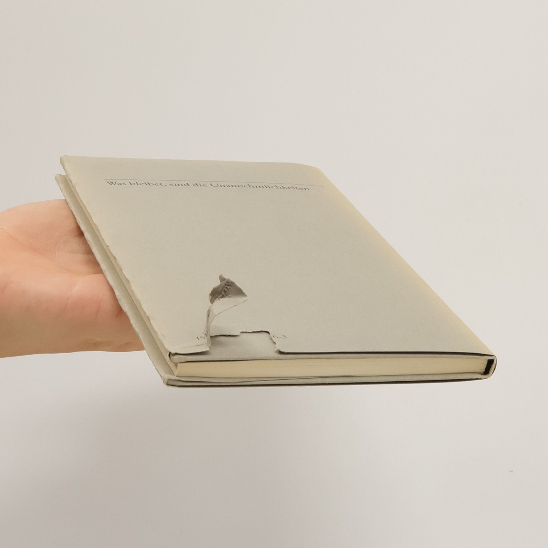 Karl Mickel Schriften - 2: Palimpsest: Gedichte und Kommentare 1975-1989
