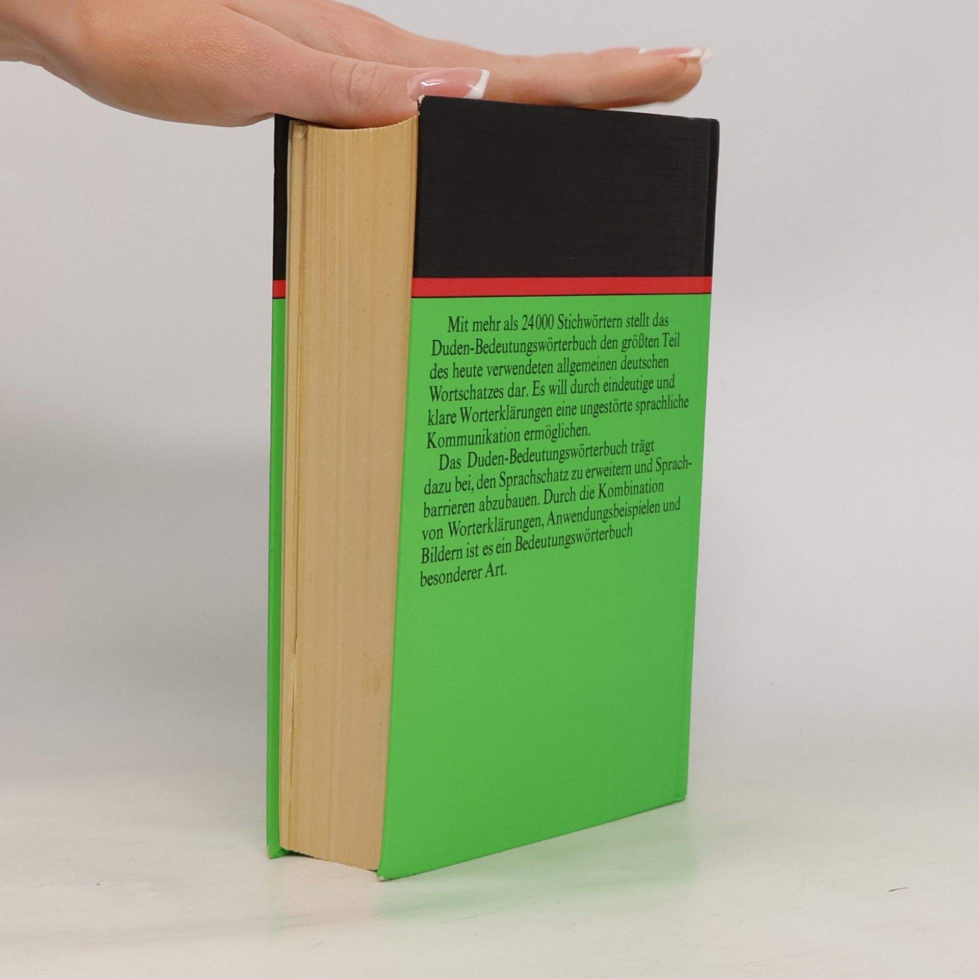 Autorenkollektiv Das Bedeutungswörterbuch 10