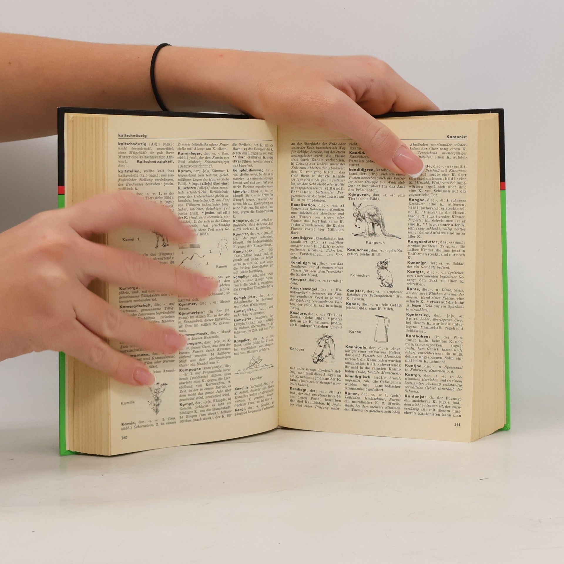 Autorenkollektiv Das Bedeutungswörterbuch 10