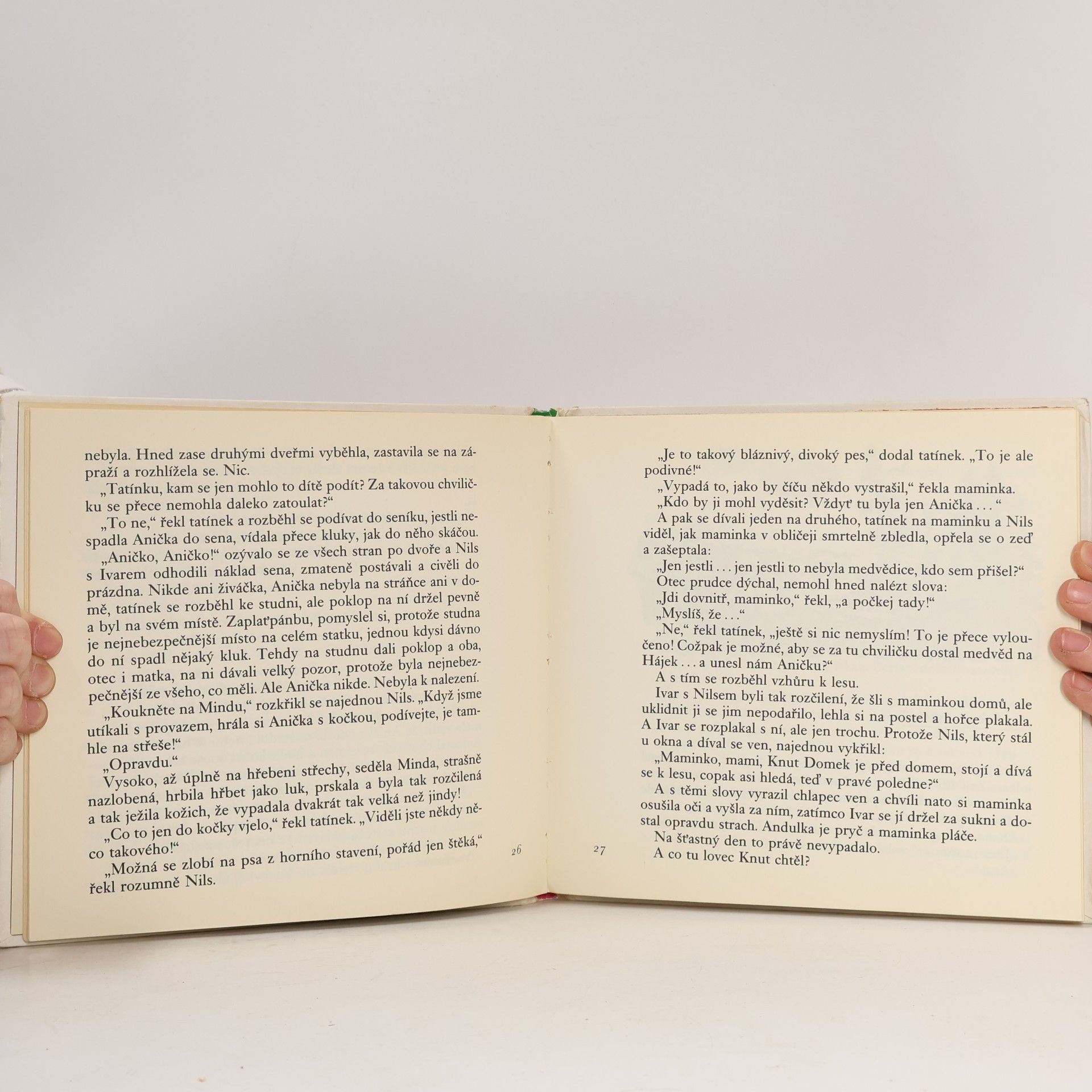 Jan Černý Medvědice od Zlatého močálu