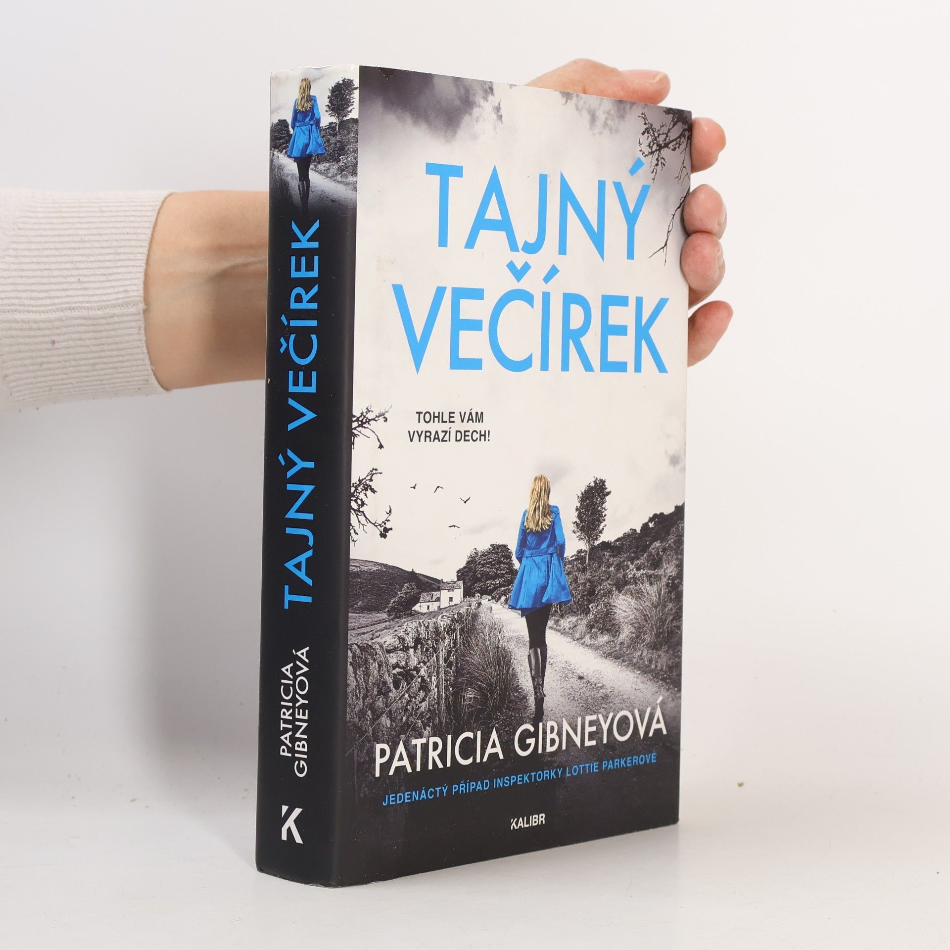 Patricia Gibney Tajný večírek