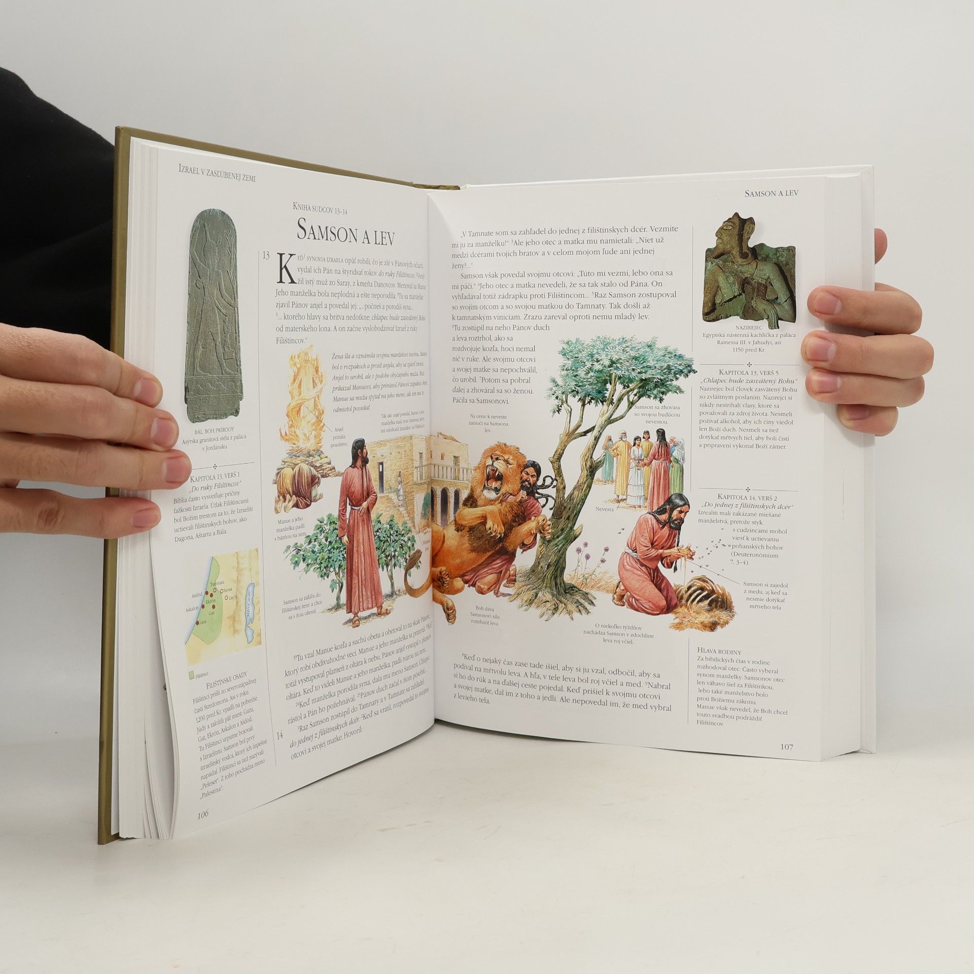 Kolektív autorov Rodinná biblia