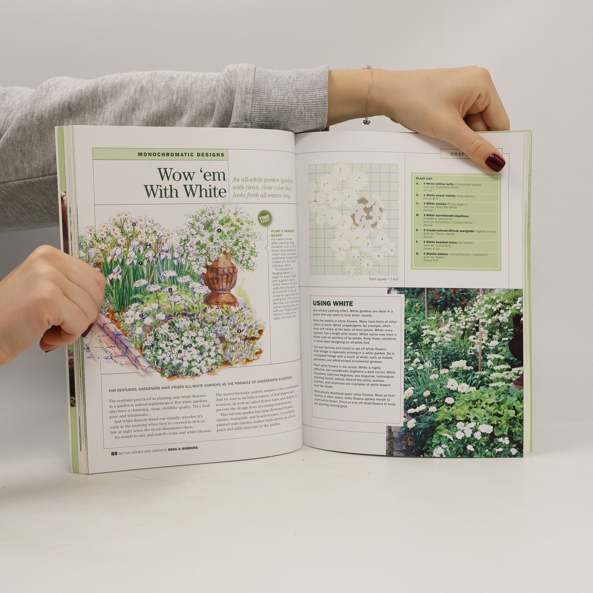 Better Homes & Gardens Better Homes and Gardens: Beds & Borders