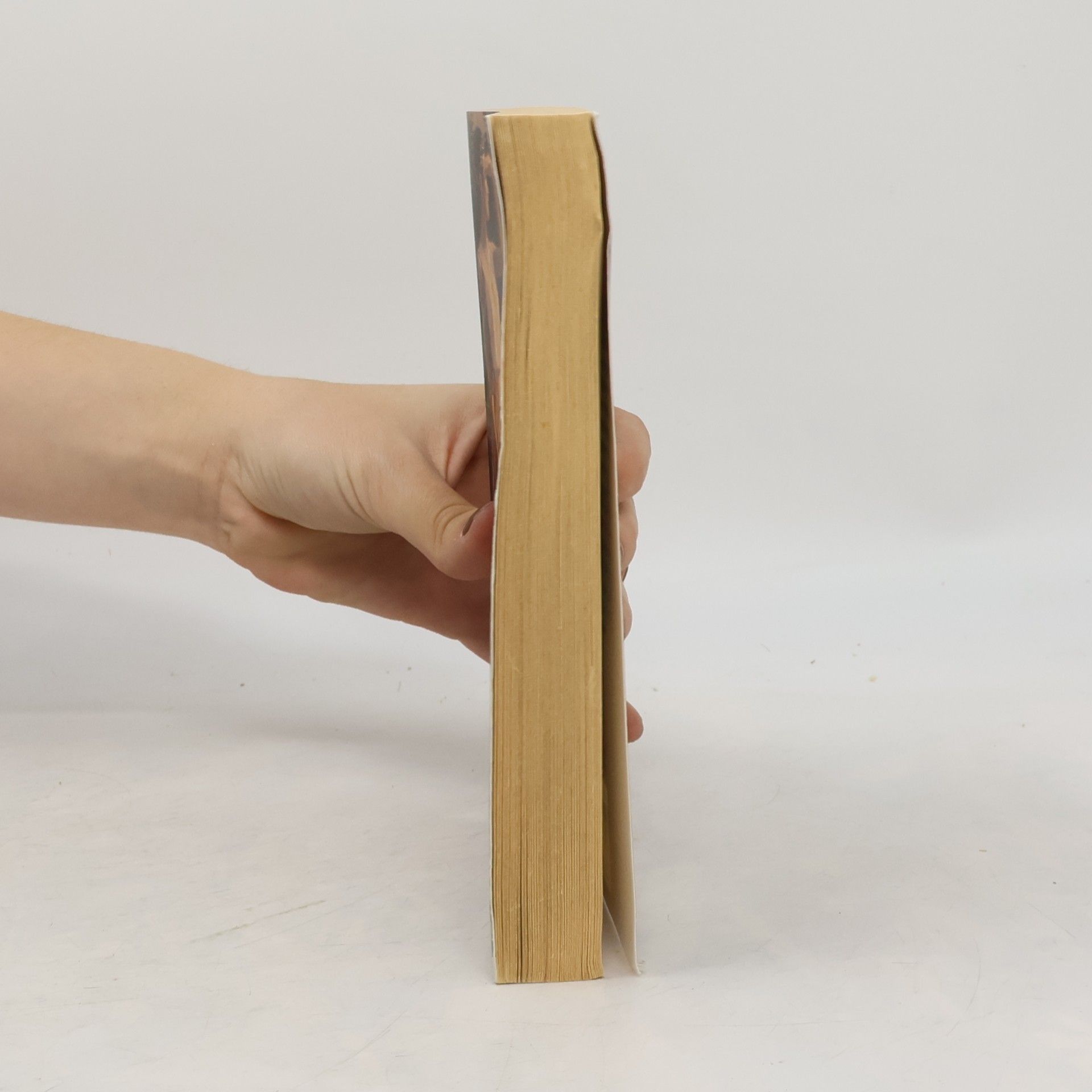 Nancy Thayer Liebe aus zweiter Hand