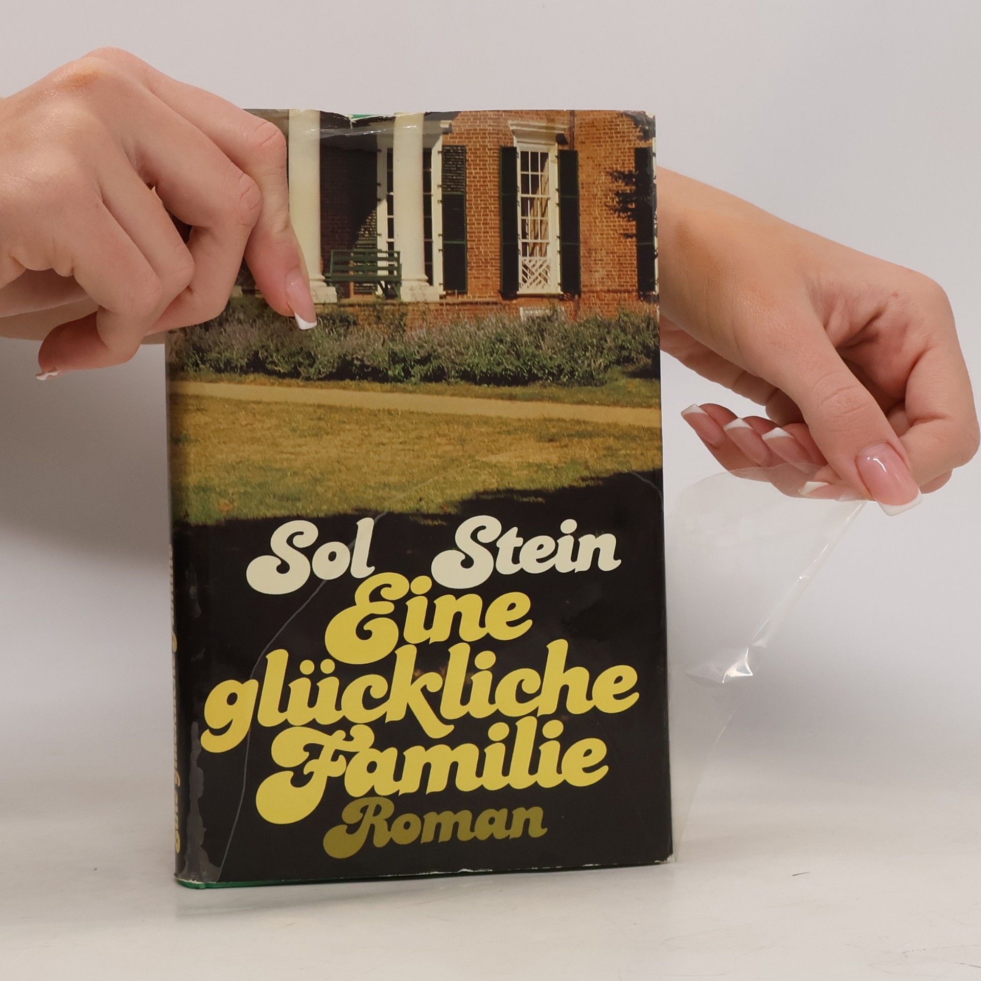 Sol Stein Eine glückliche Familie