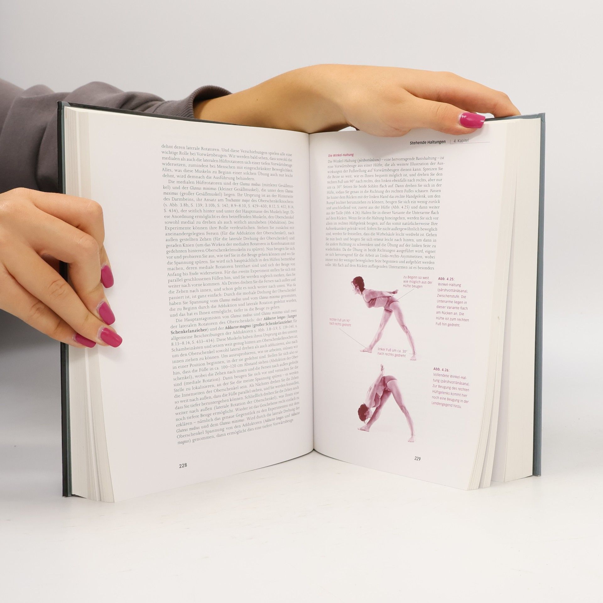 Herbert David Coulter Anatomie des Hatha-Yoga