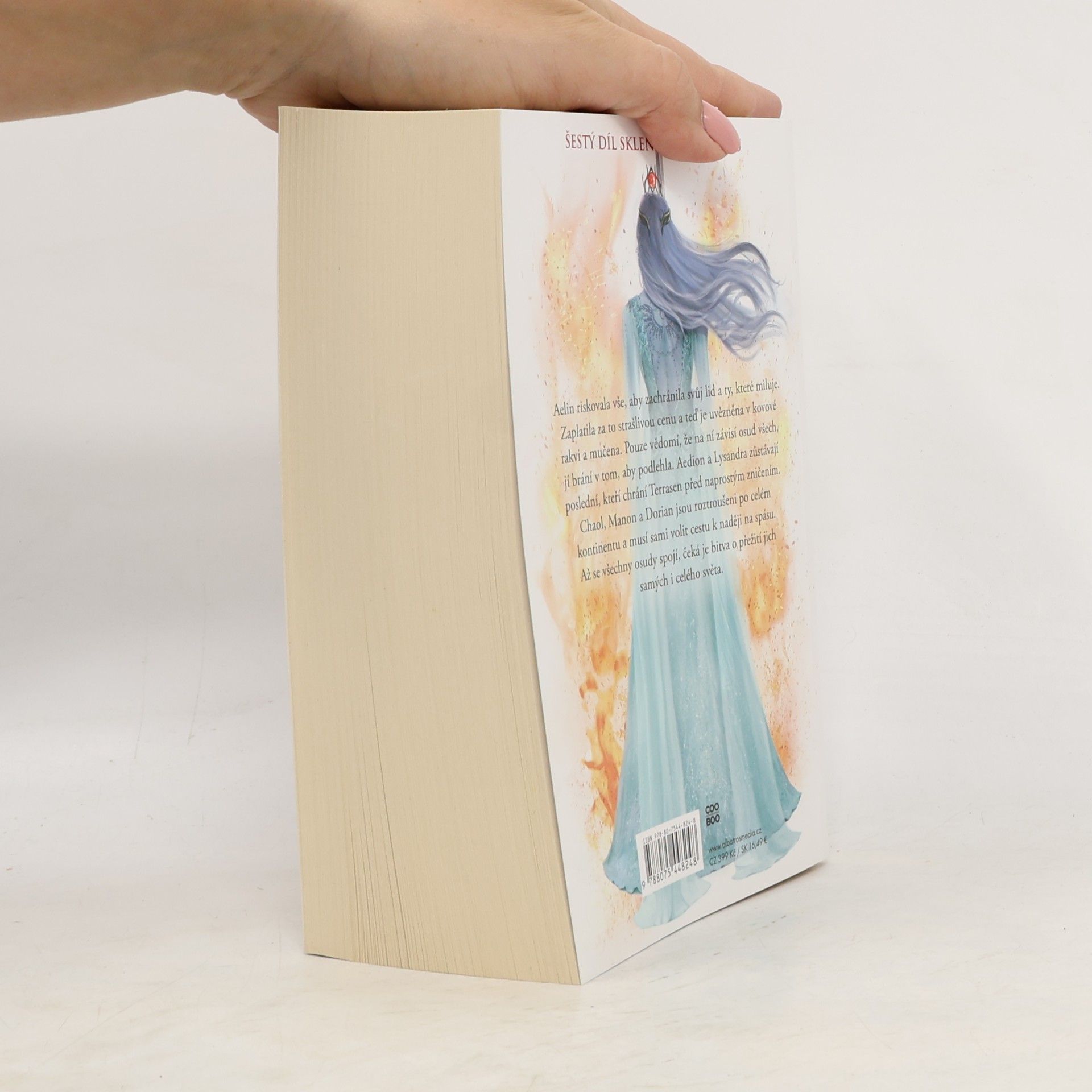 Sarah J. Maas Království popela