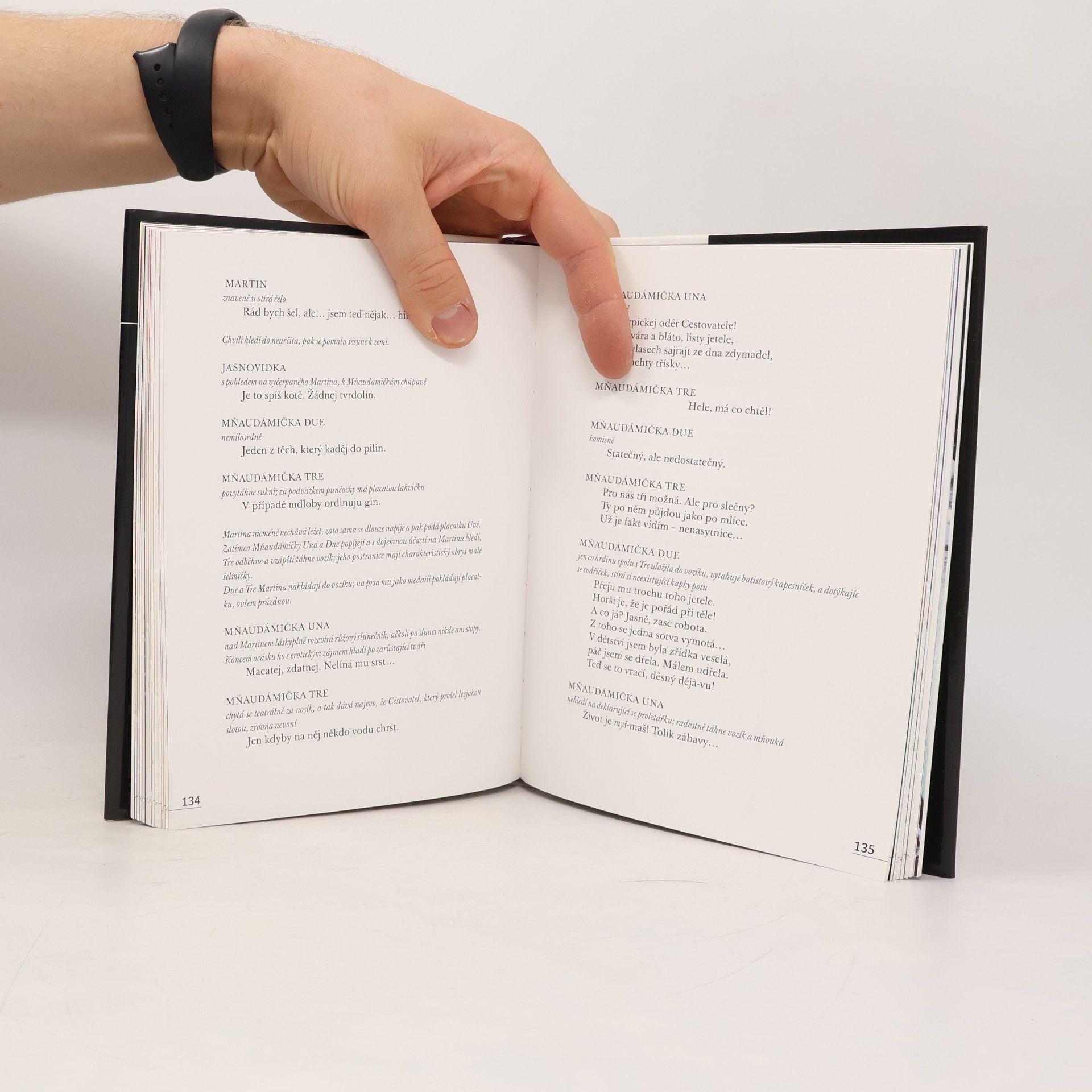 Michal Horáček Kudykam : písňový text o 2009 verších