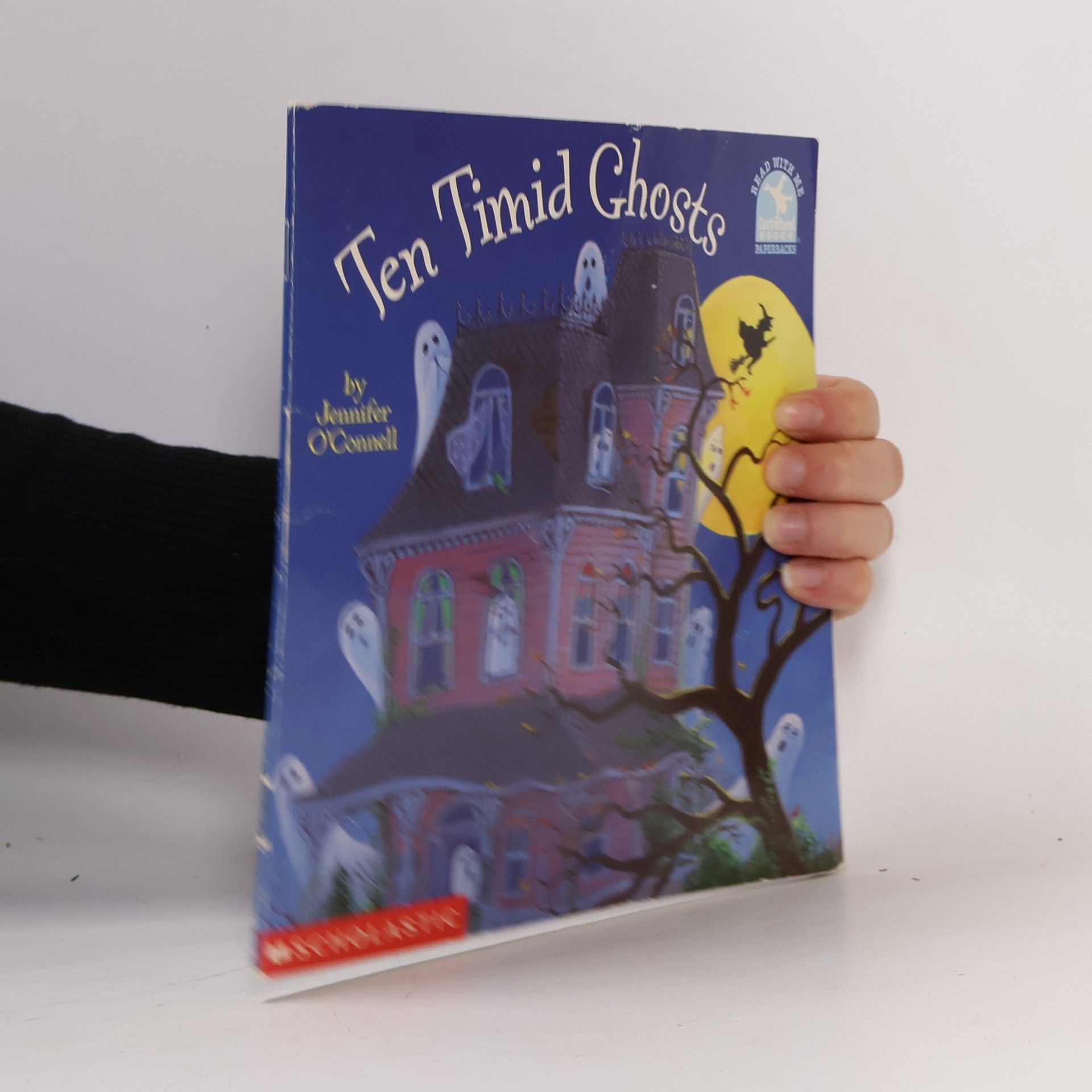 Ten Timid Ghosts