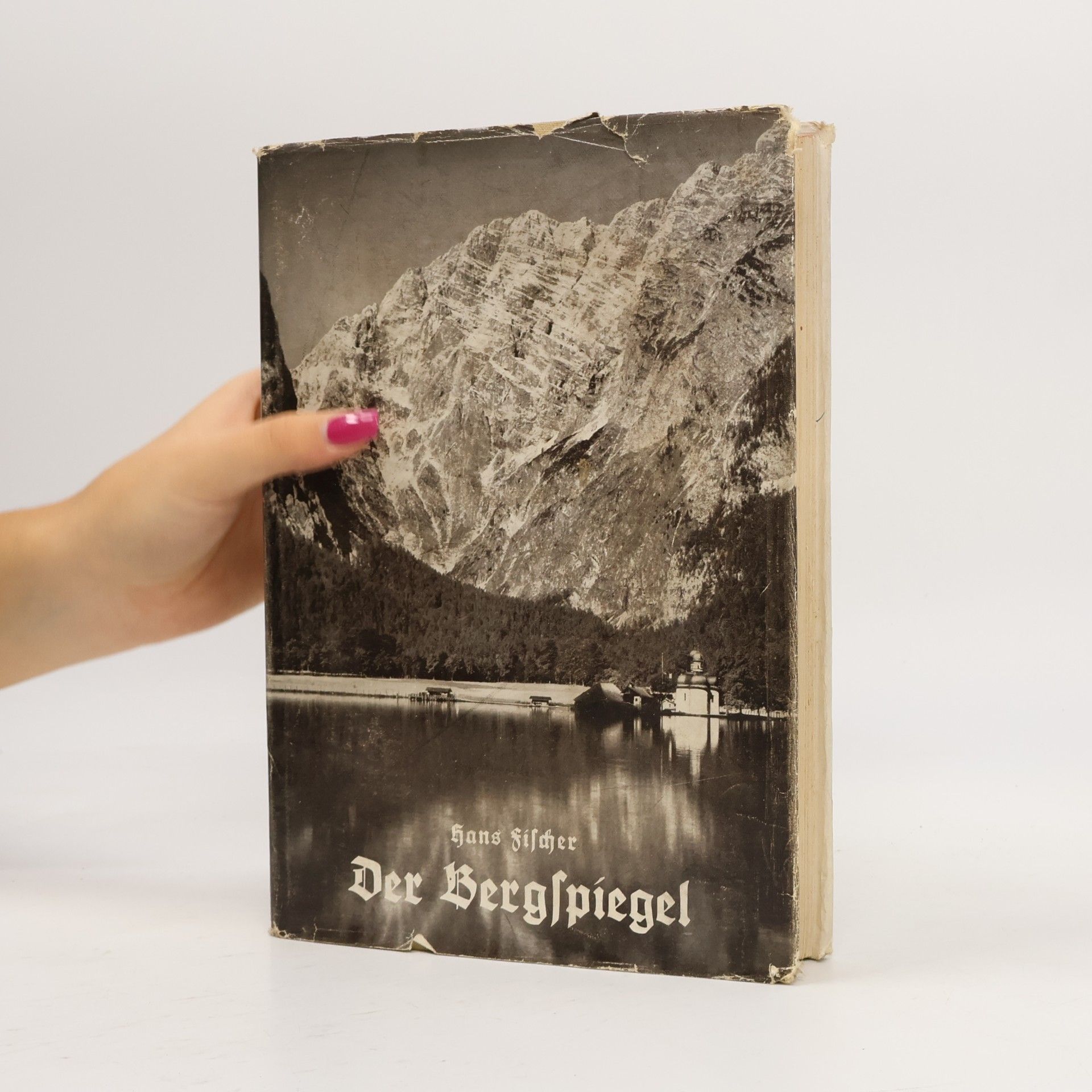 Hans Fischer Der Bergspiegel