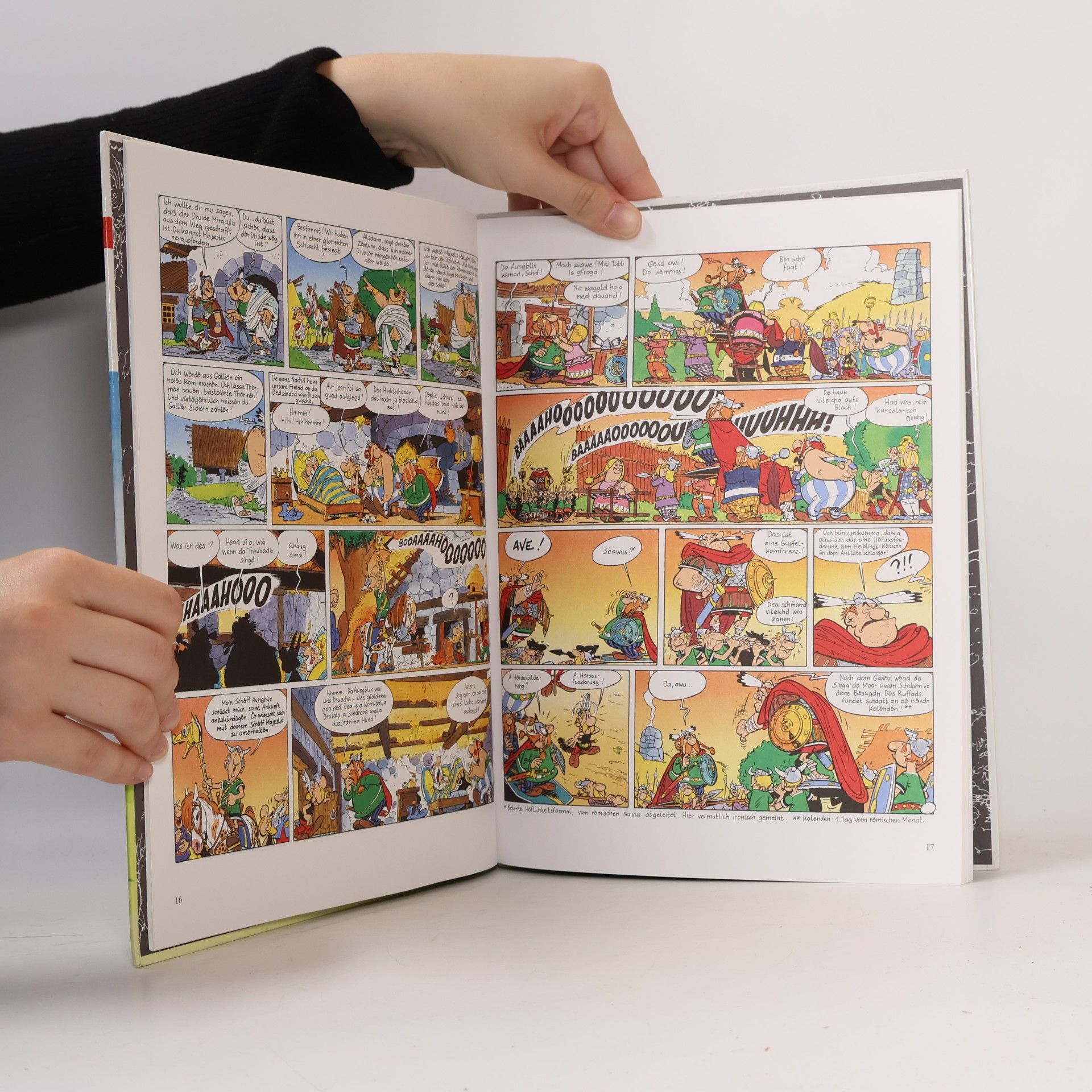 René Goscinny Asterix Mundart - 44: Ozabfd Is!