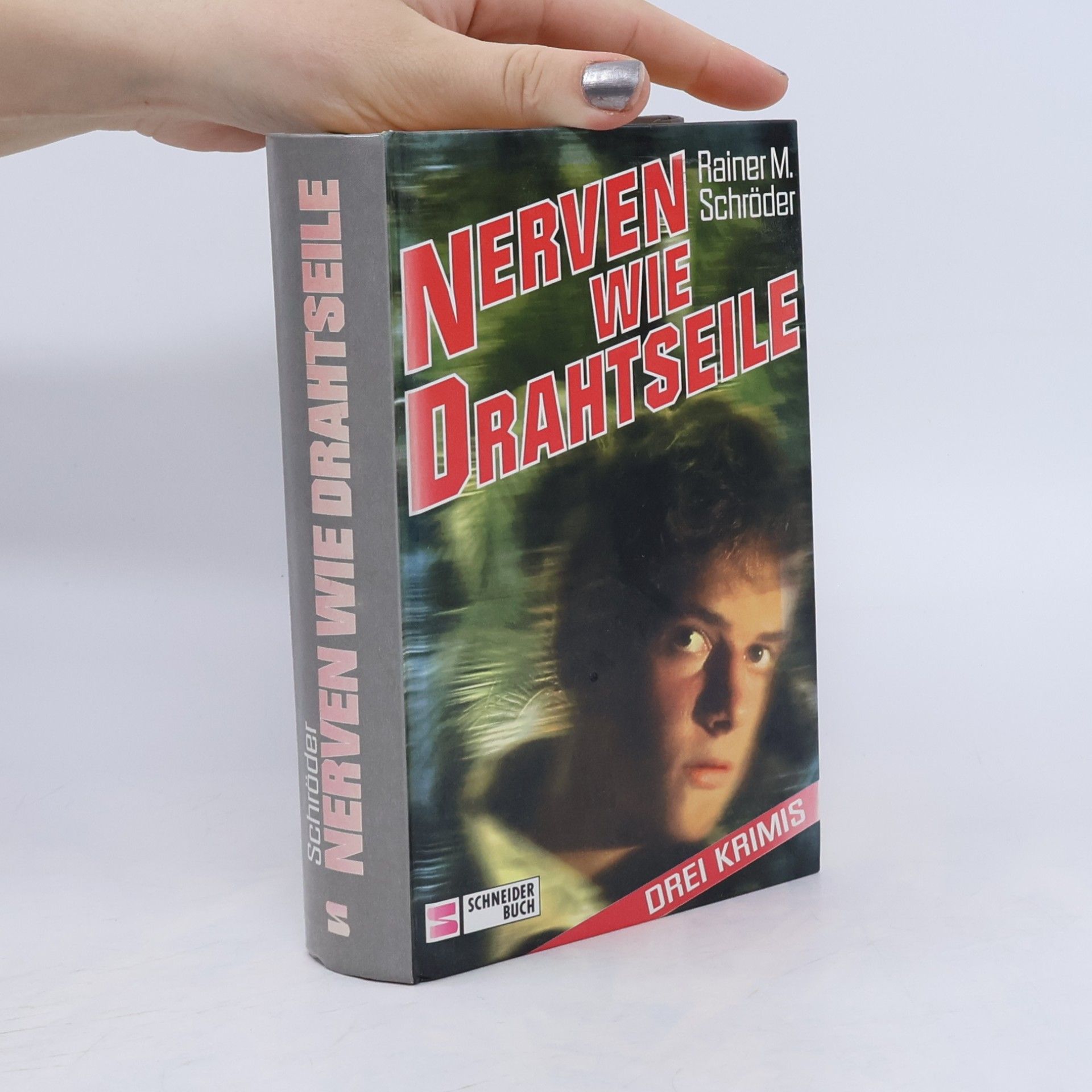 Rainer M. Schröder Nerven wie Drahtseile