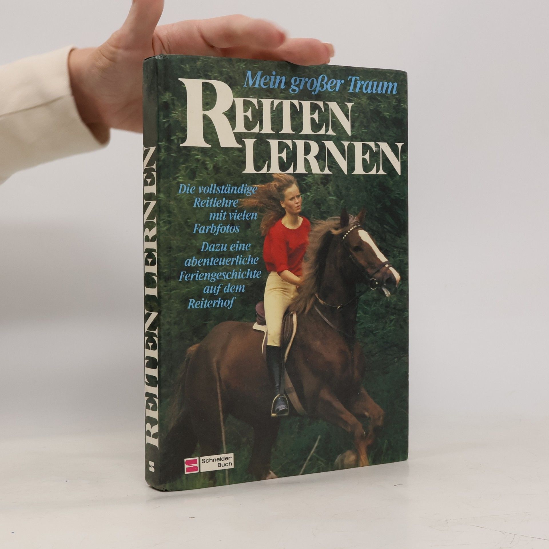 Reiten lernen