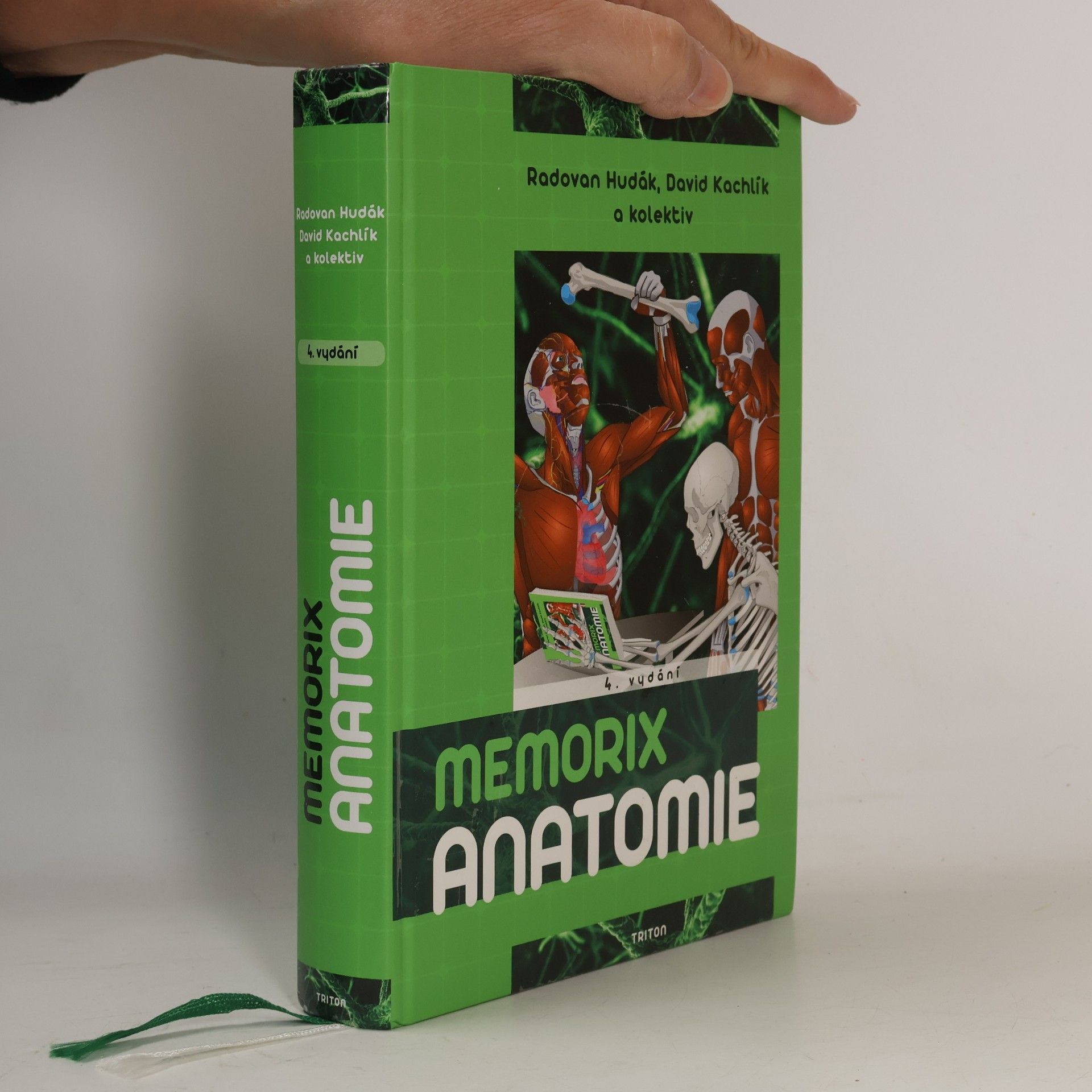 Memorix anatomie