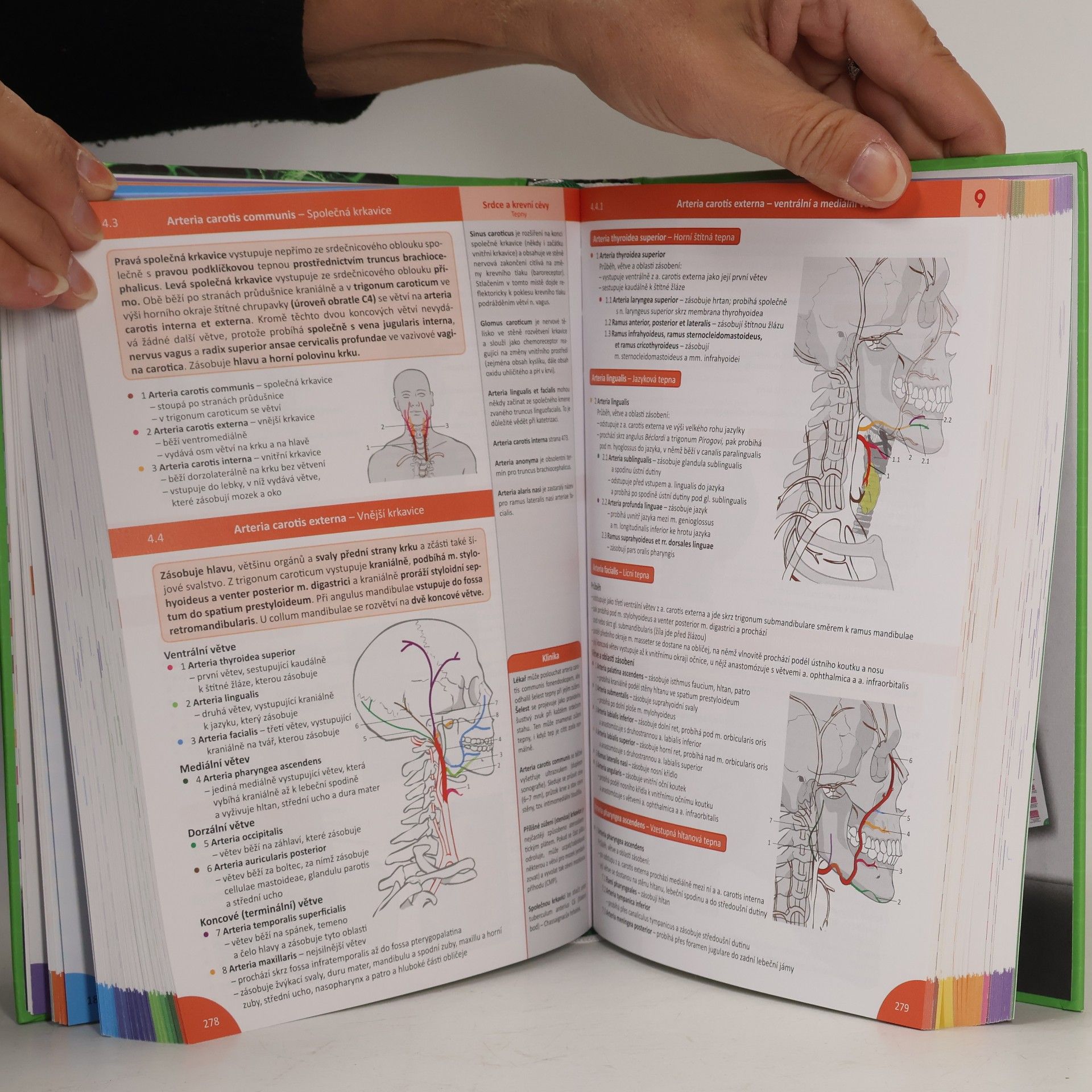 Radovan Hudák Memorix anatomie