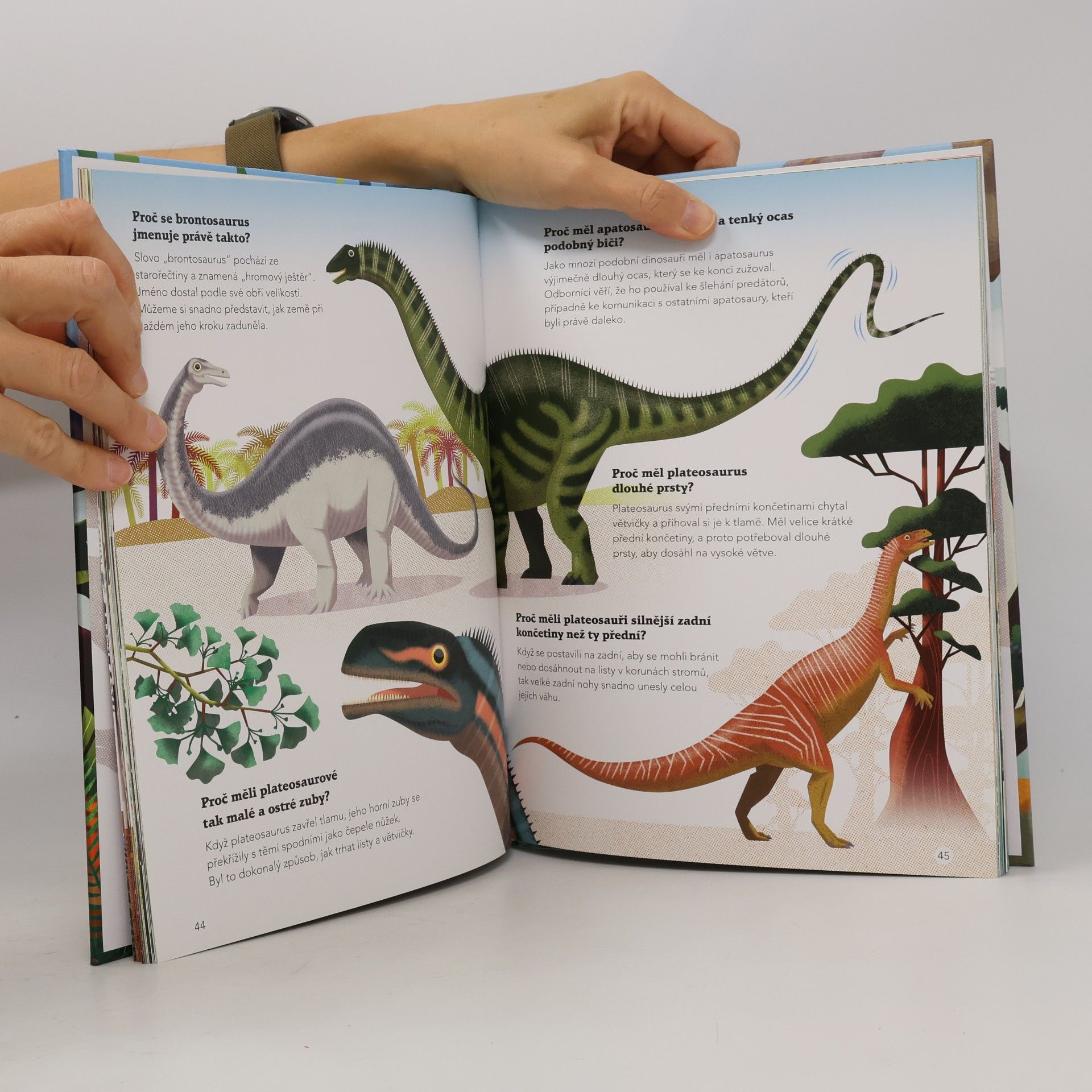 Cristina M. Banfi 200 úžasných faktů o dinosaurech