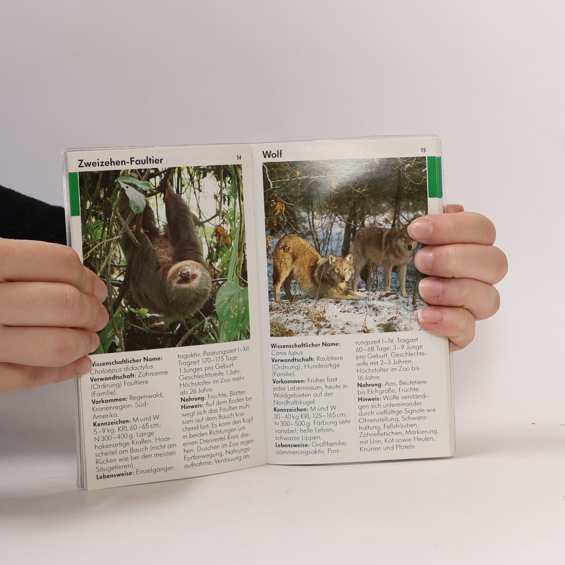 Ingo Rieger Zootiere