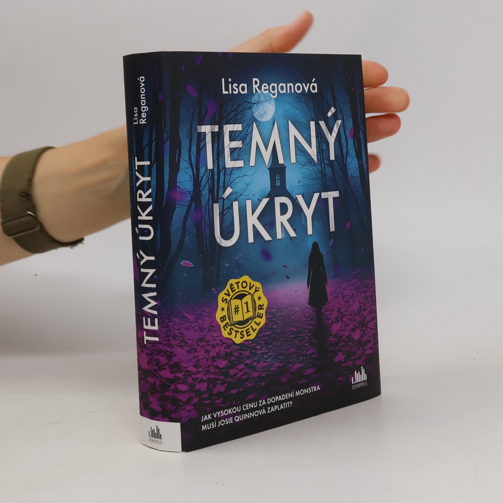 Lisa Regan Temný úkryt