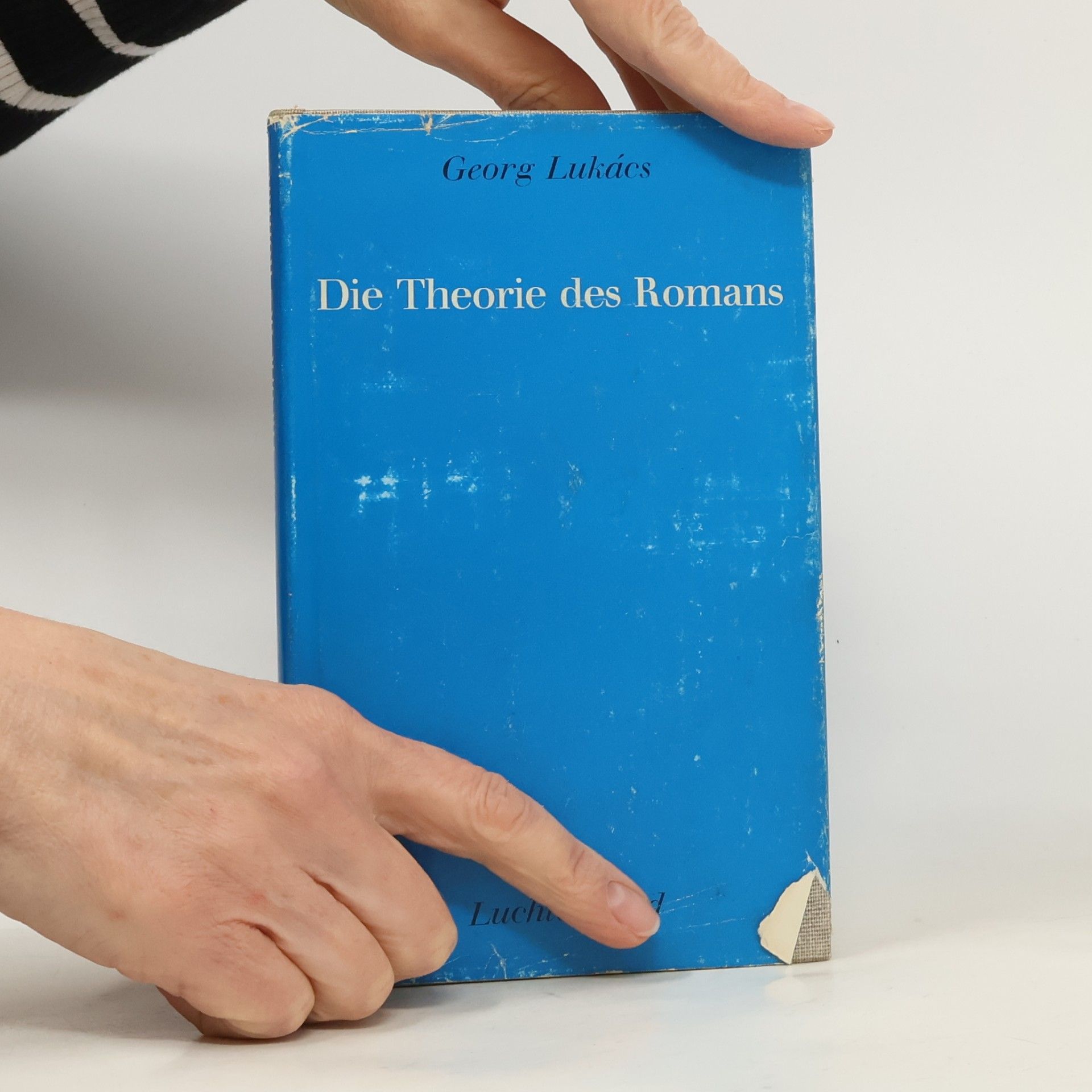 Georg Lukács Die Theorie des Romans