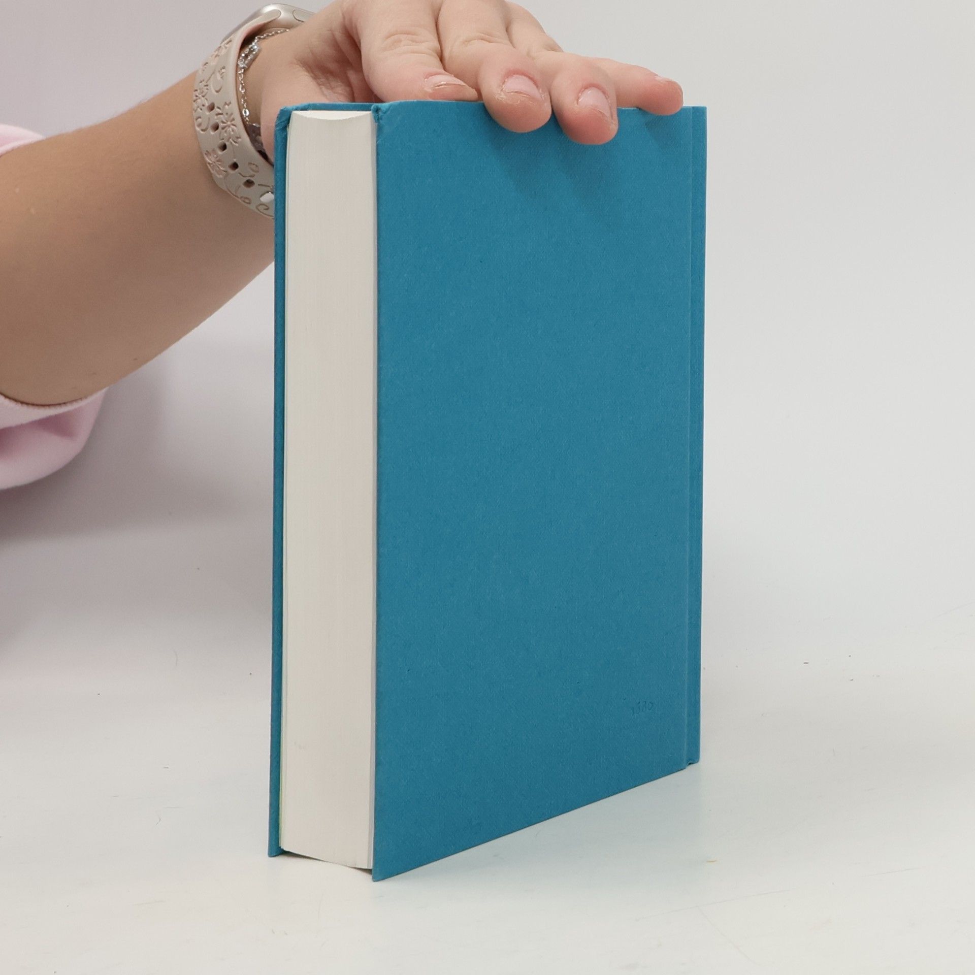 Kolektiv autorů Die Gute Nachricht Bibel, Taschenausgabe mit Spätschriften, auqamarin (Nr.1680)
