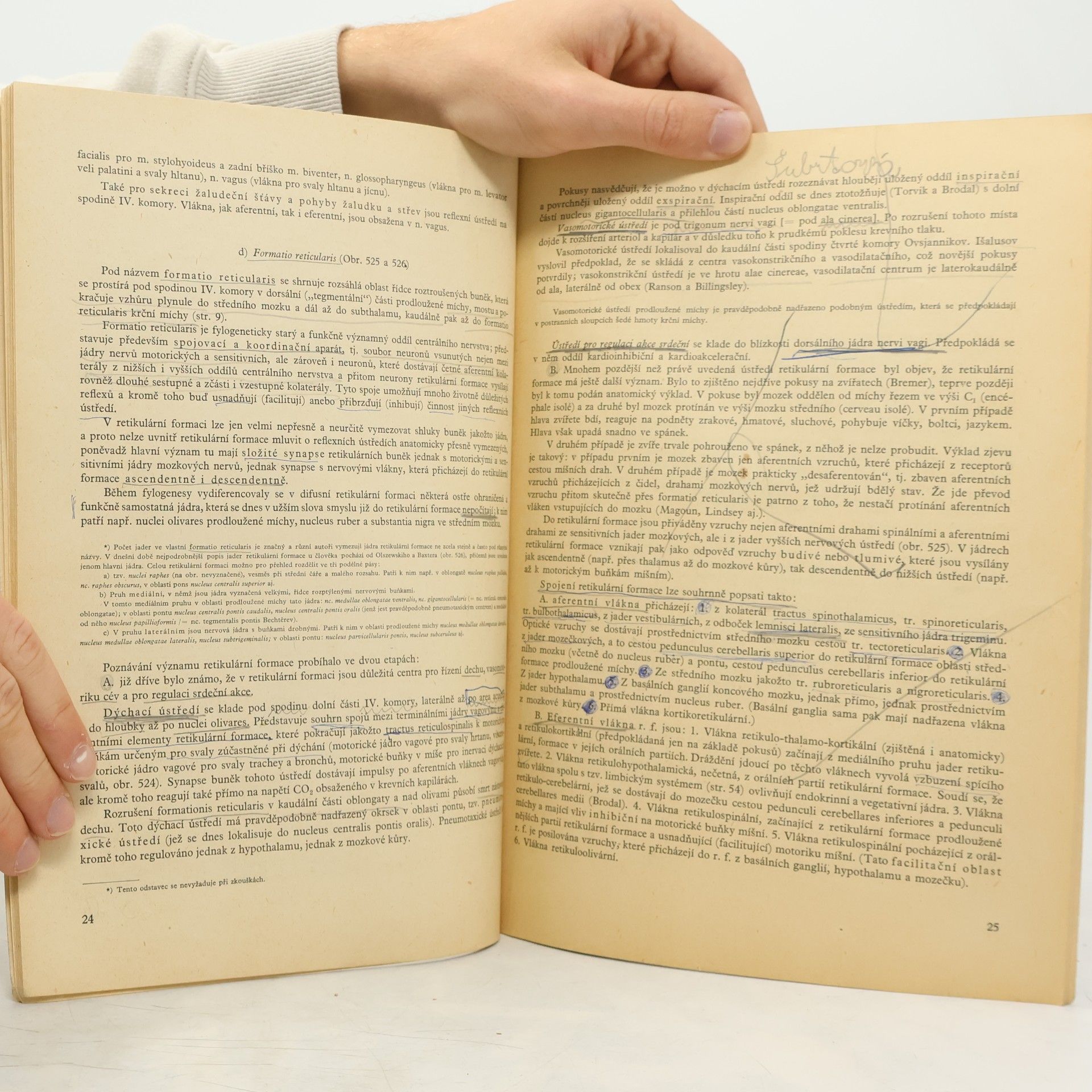 Ladislav Borovanský Anatomie centrálního nervstva