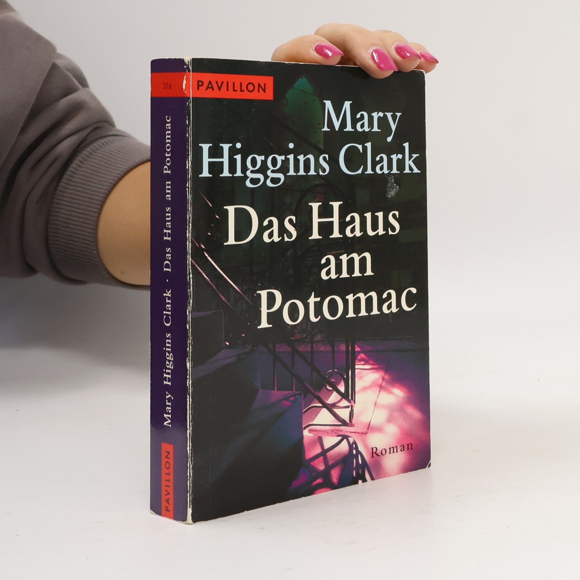 Das Haus am Potomac
