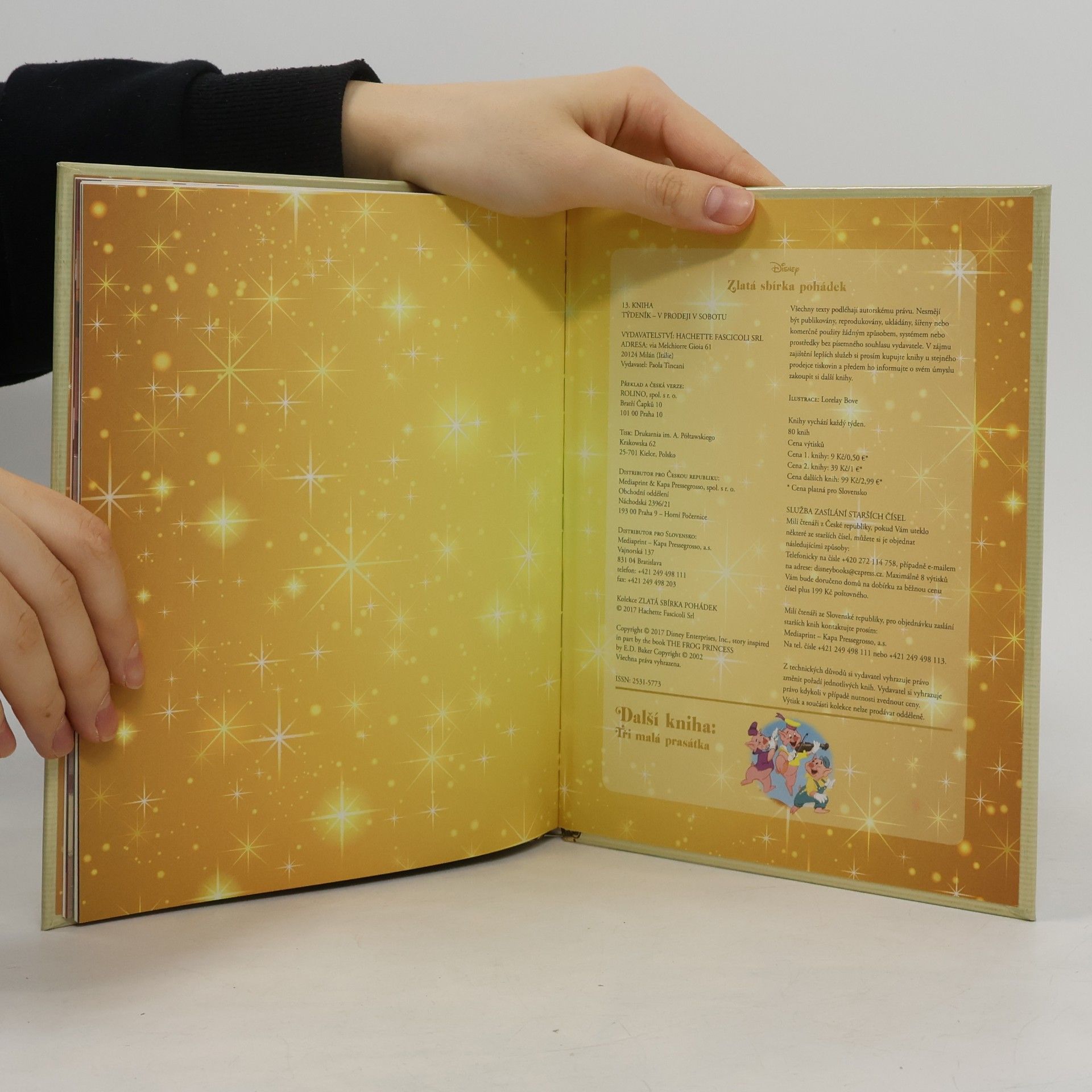 Autorenkollektiv Zlatá sbírka pohádek 13. Princezna a žabák