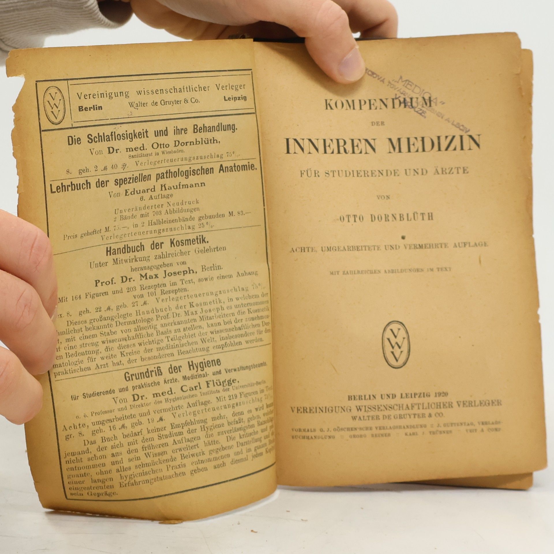Otto Dornblüth Kompendium der inneren Medizin für Studierende und Ärzte