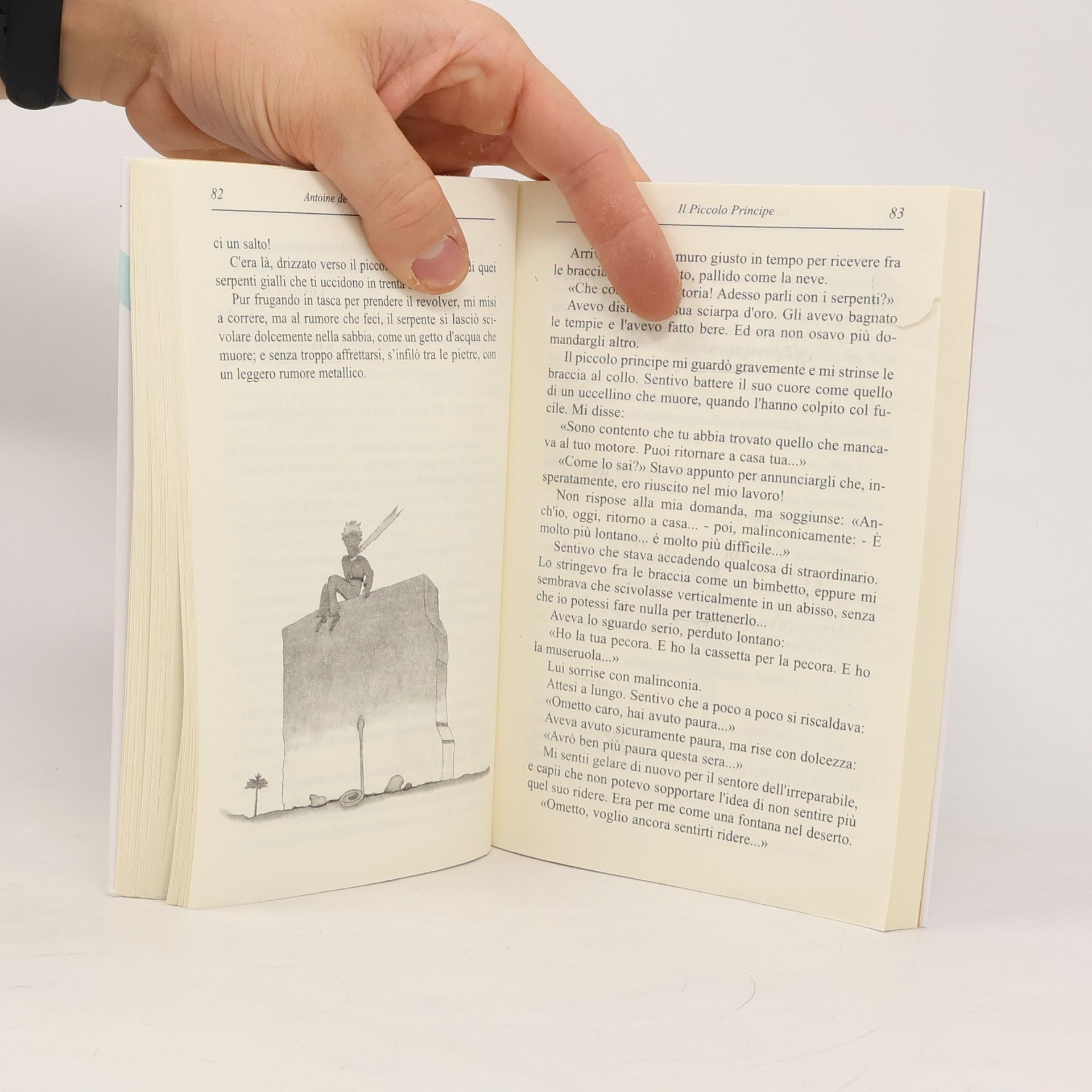 Antoine de Saint-Exupéry Il Piccolo Principe-Le Petit Prince