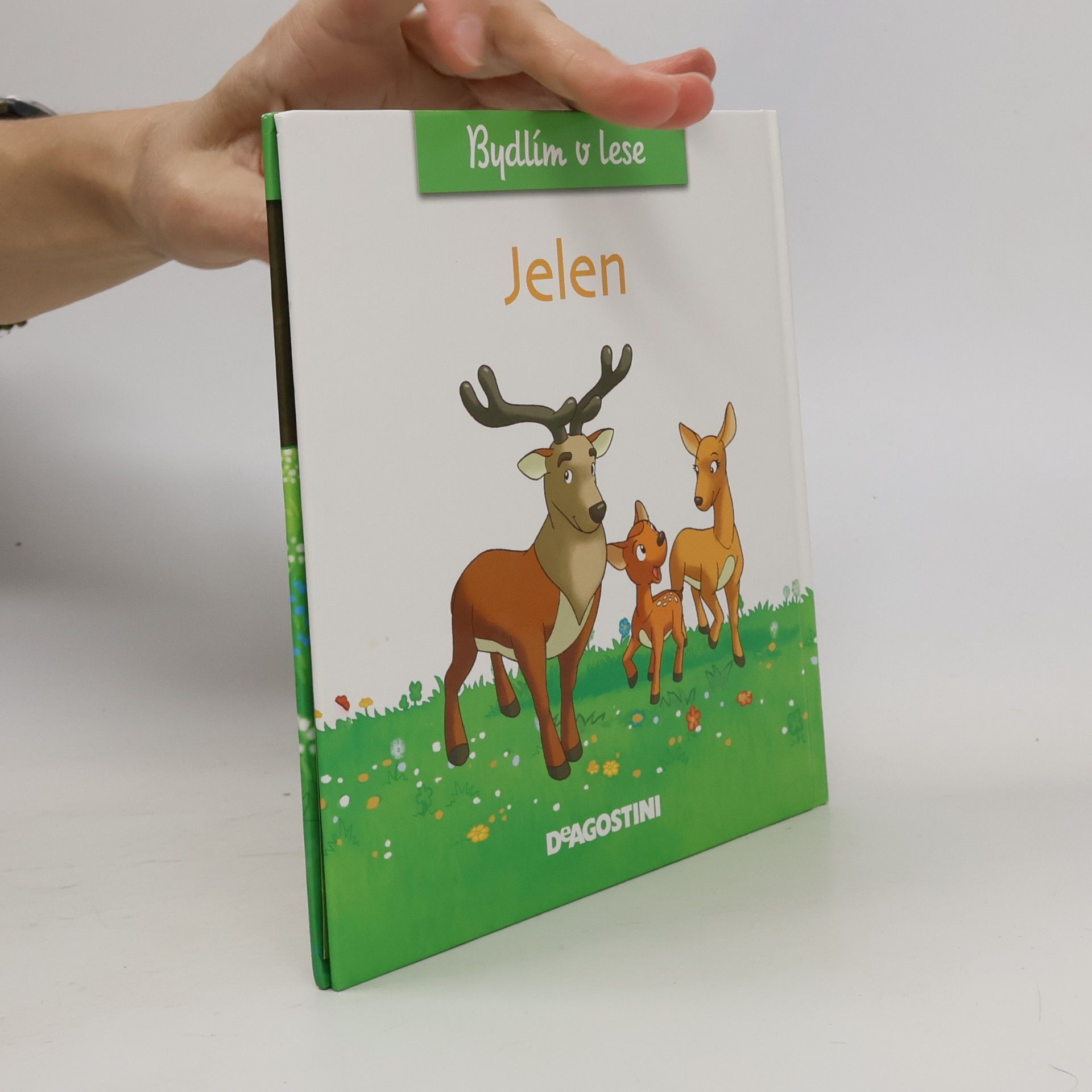 Autorenkollektiv Bydlím v lese 1. Jelen