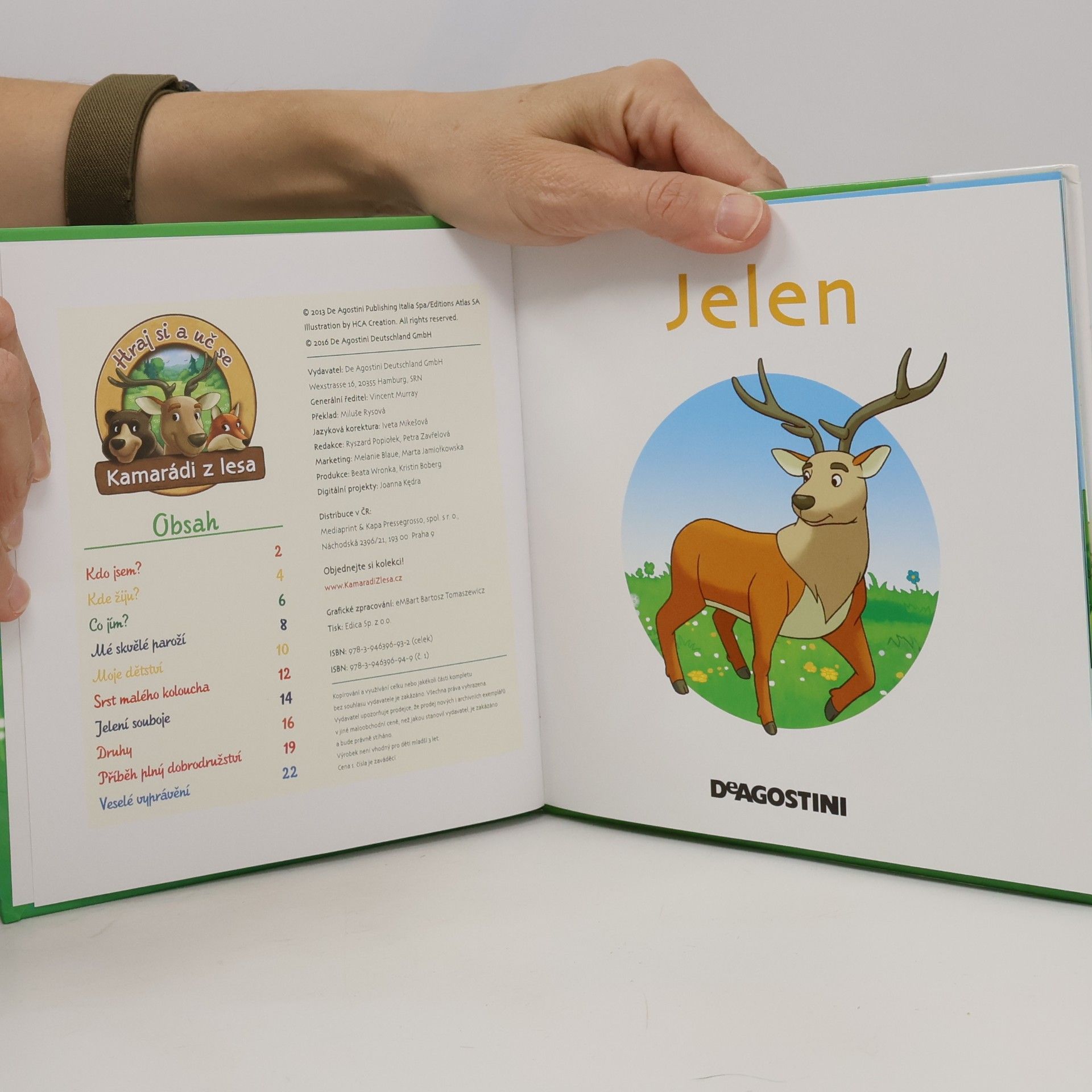 Autorenkollektiv Bydlím v lese 1. Jelen