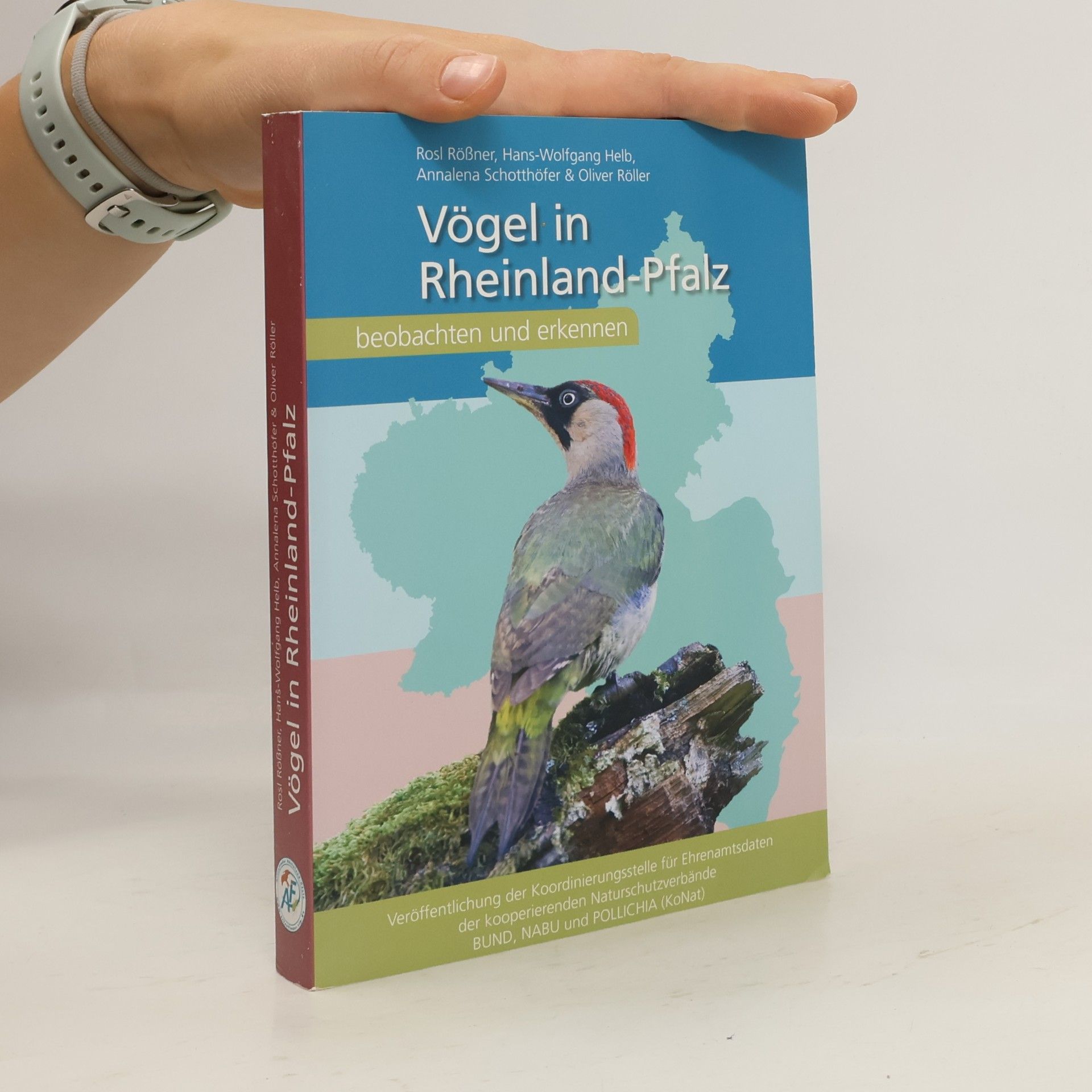 Vögel in Rheinland-Pfalz beobachten und erkennen
