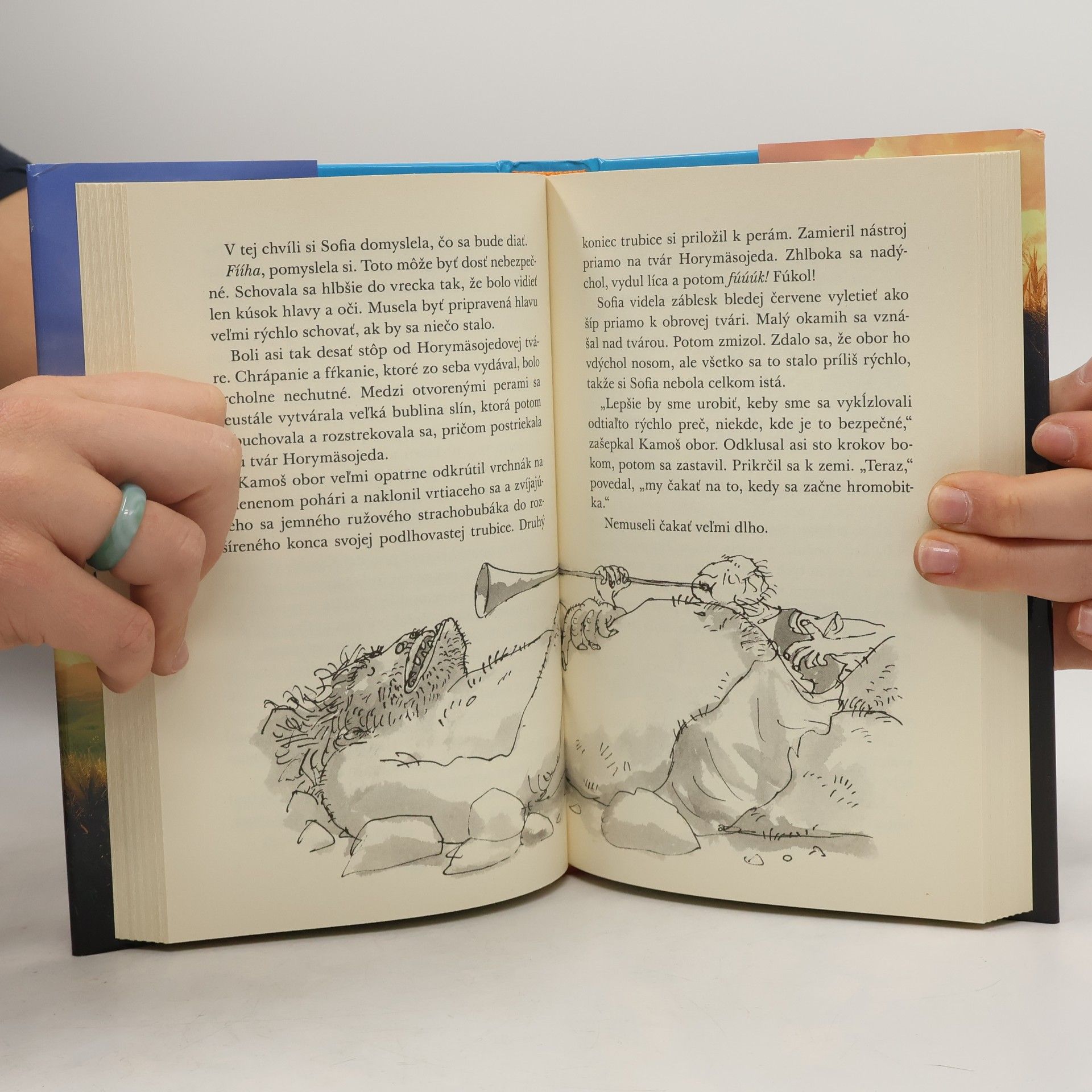 Roald Dahl Kamoš obor