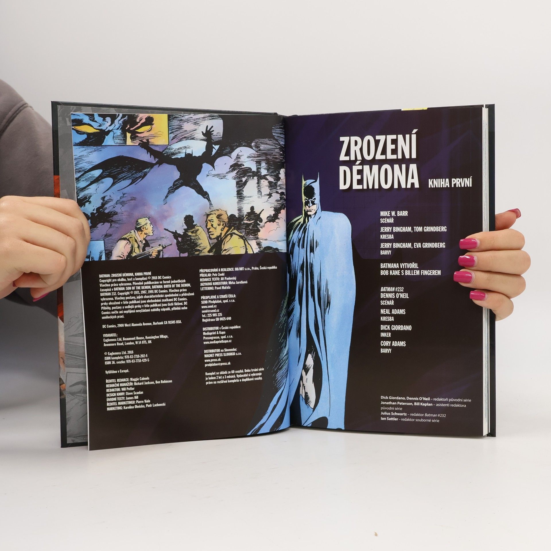 Mike W. Barr Batman. Zrození démona. Kniha první