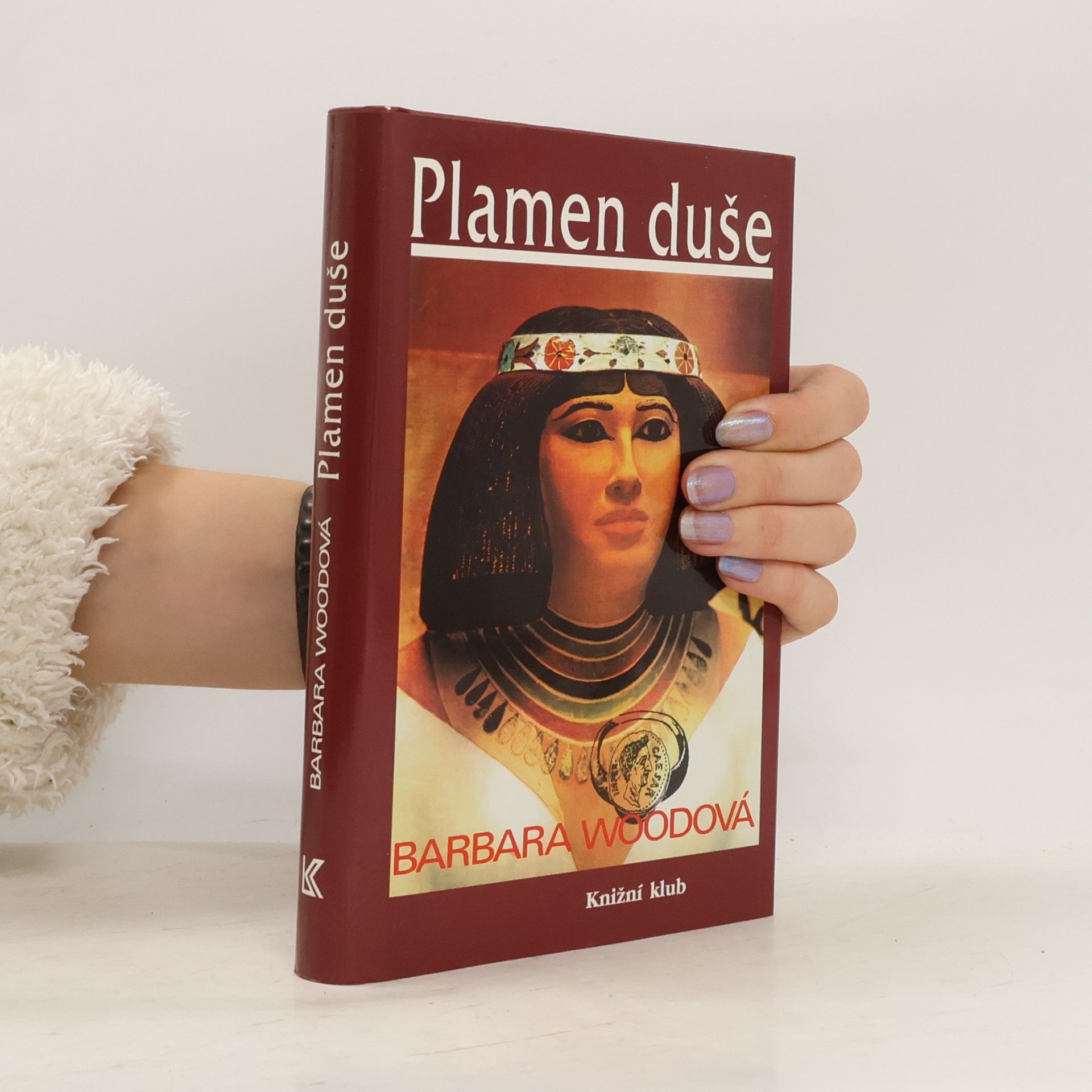 Barbara Wood Plamen duše