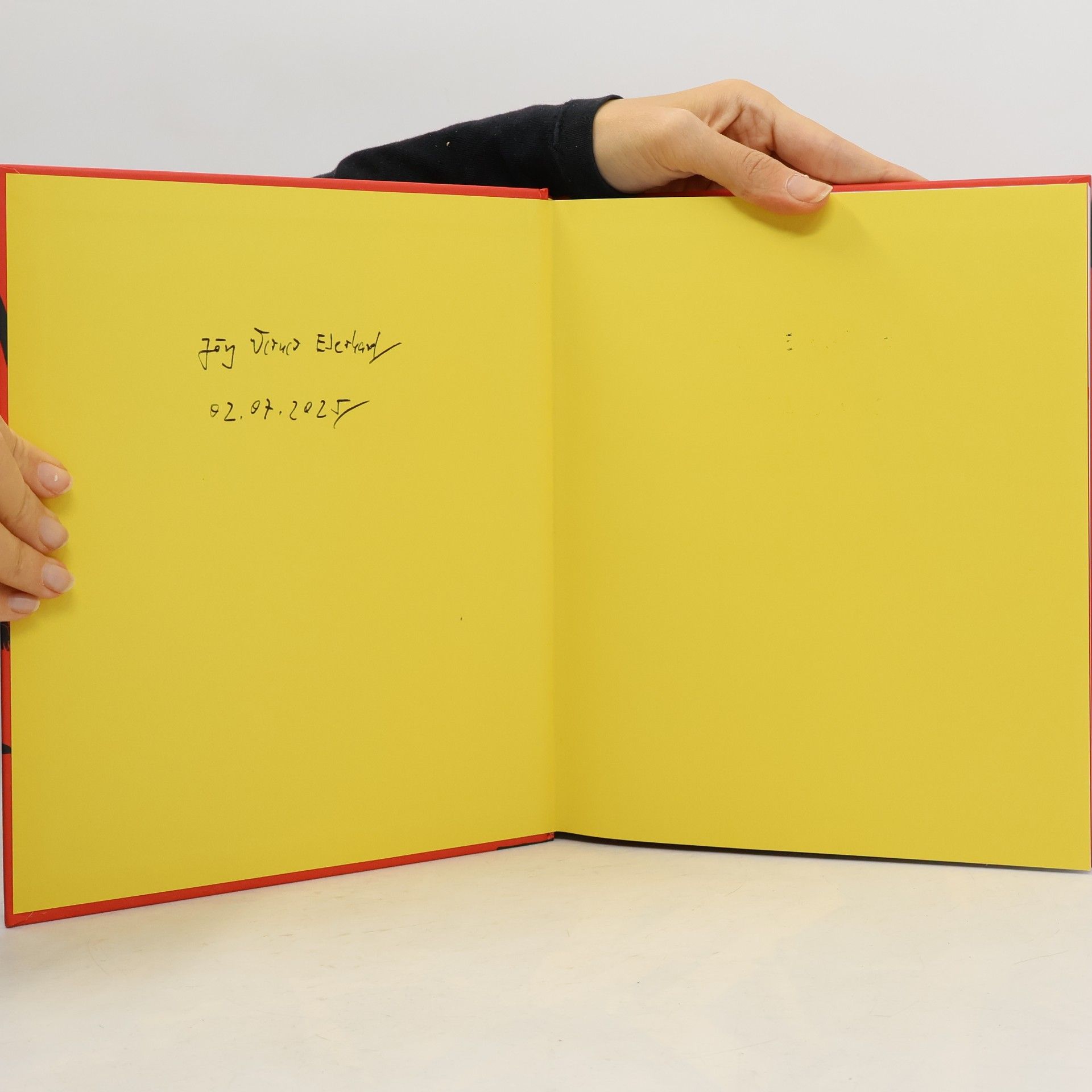 Catherine Collin Big Ideas. Das Psychologie-Buch. Big Ideas - einfach erklärt. Über 100 wichtige psychologische Theorien und Konzepte aus 200 Jahren Psychologie-Geschichte